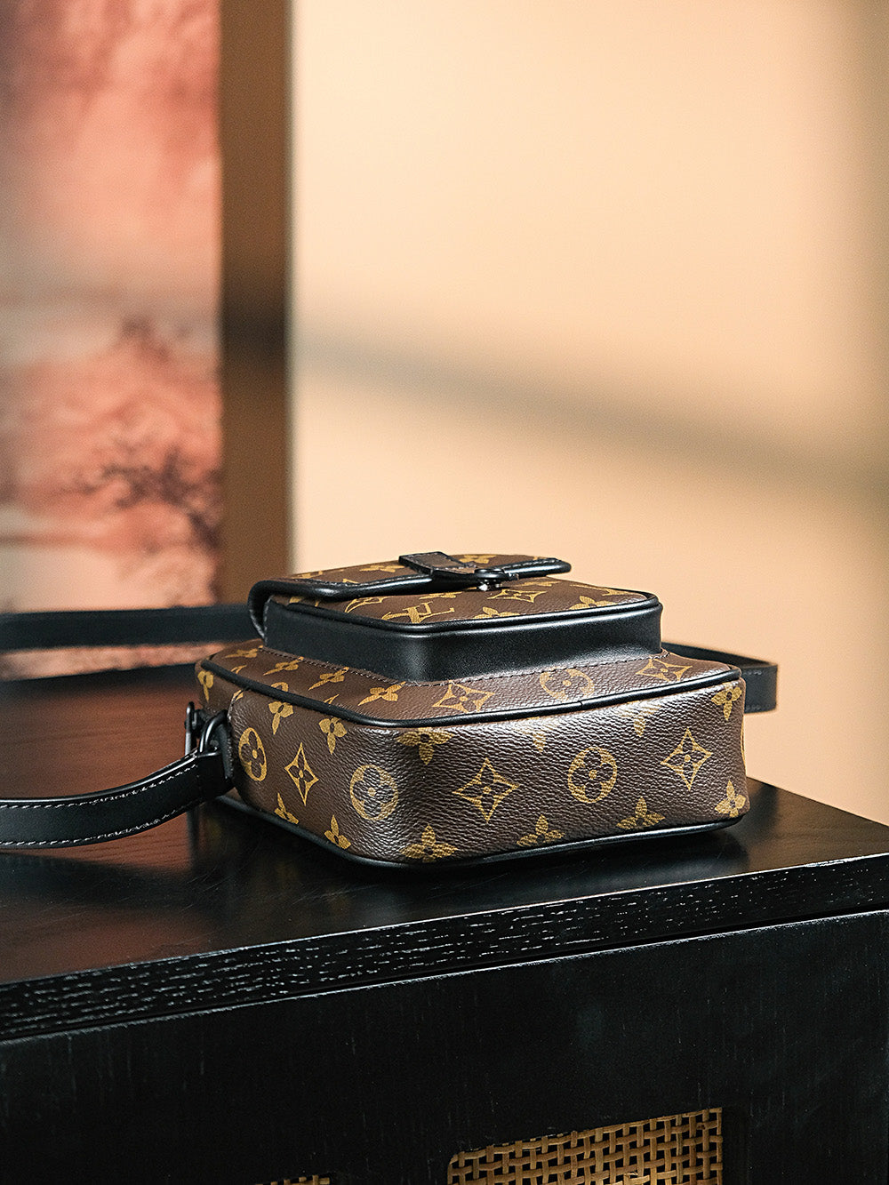 Louis Vuitton women's bags 56