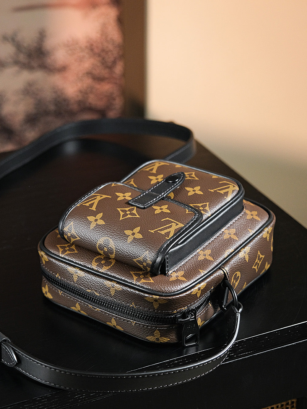 Louis Vuitton women's bags 56