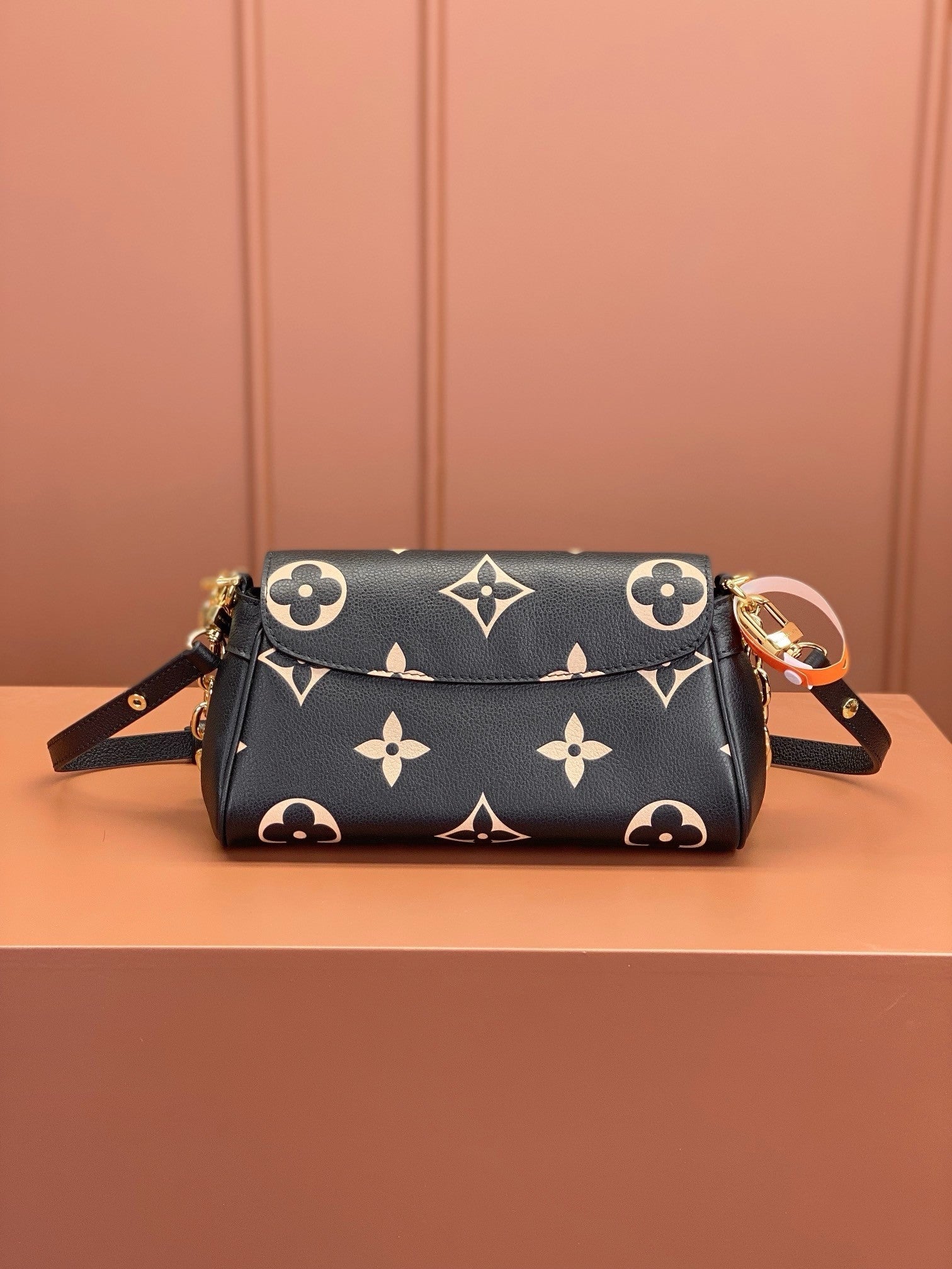 Louis Vuitton women's bags 60