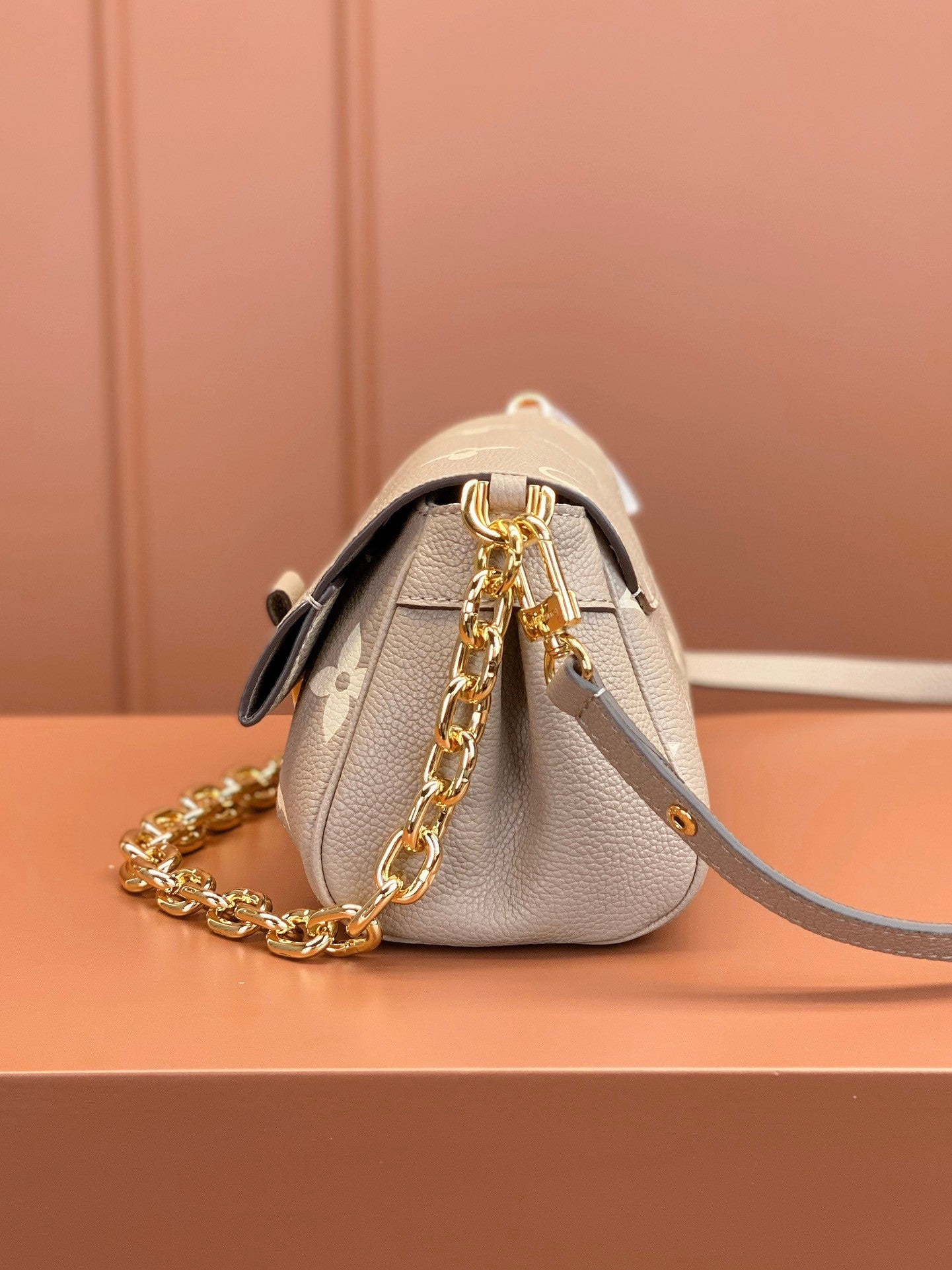 Louis Vuitton women's bags 61