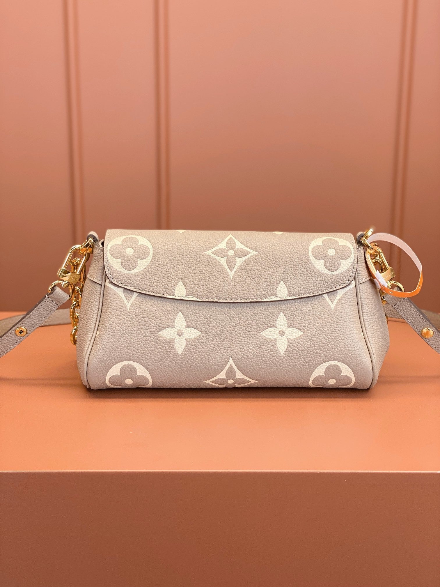 Louis Vuitton women's bags 61
