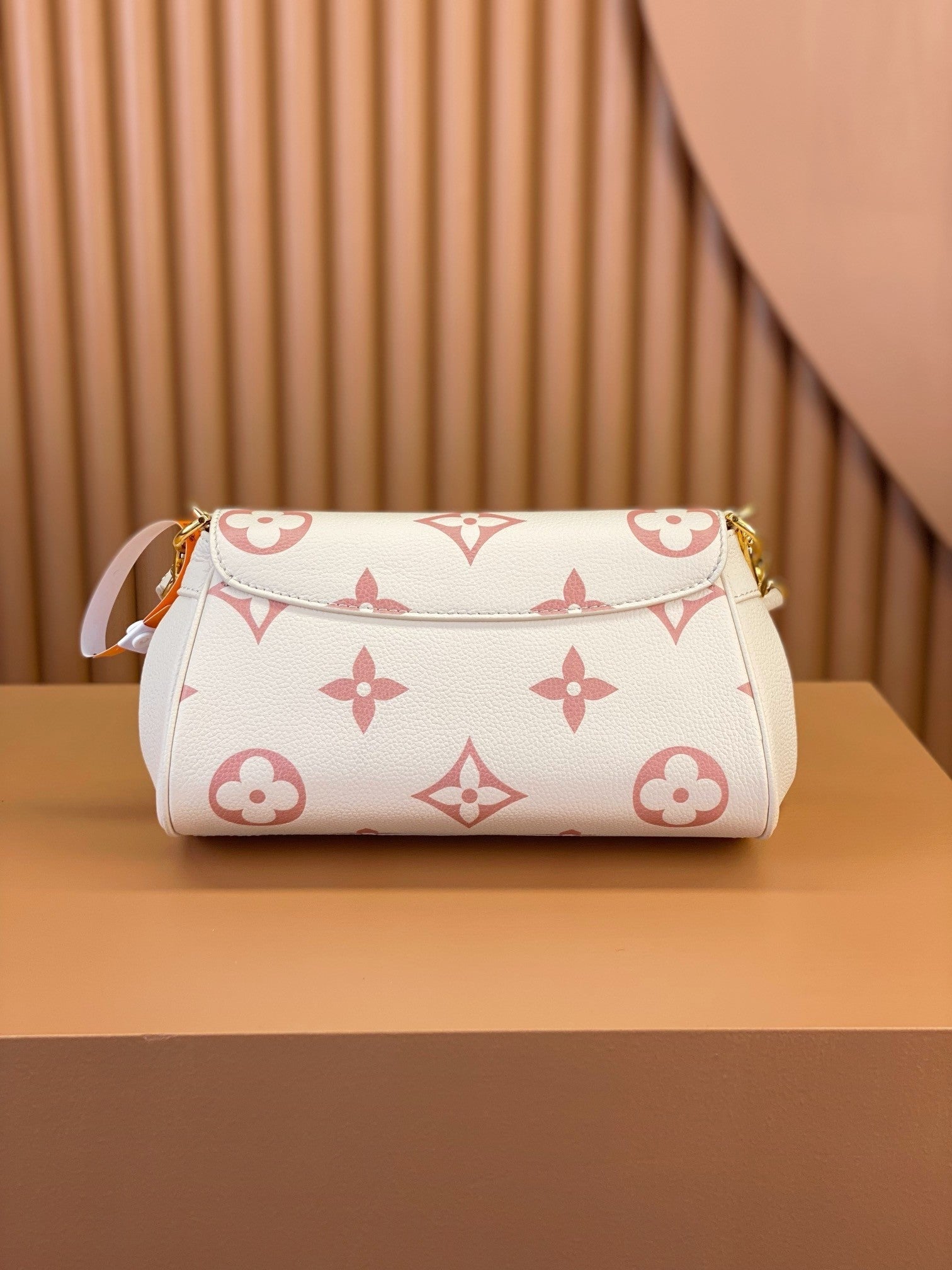Louis Vuitton women's bags 62