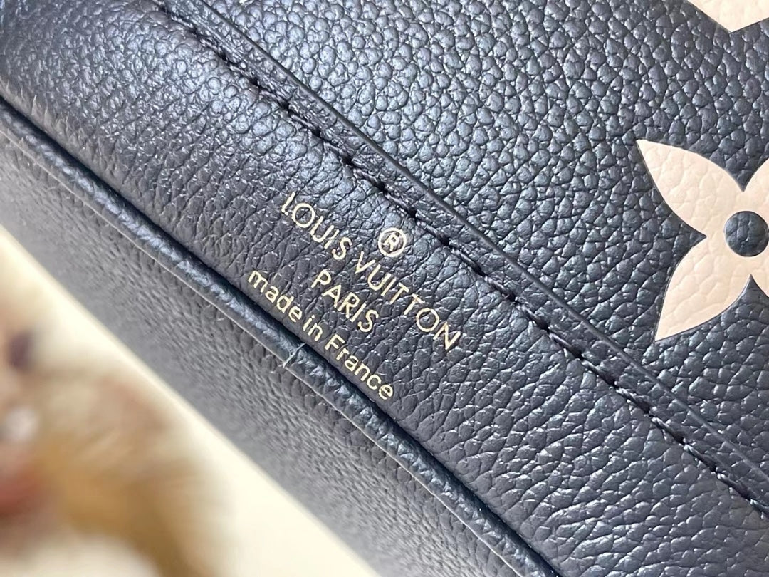 Louis Vuitton women's bags 66