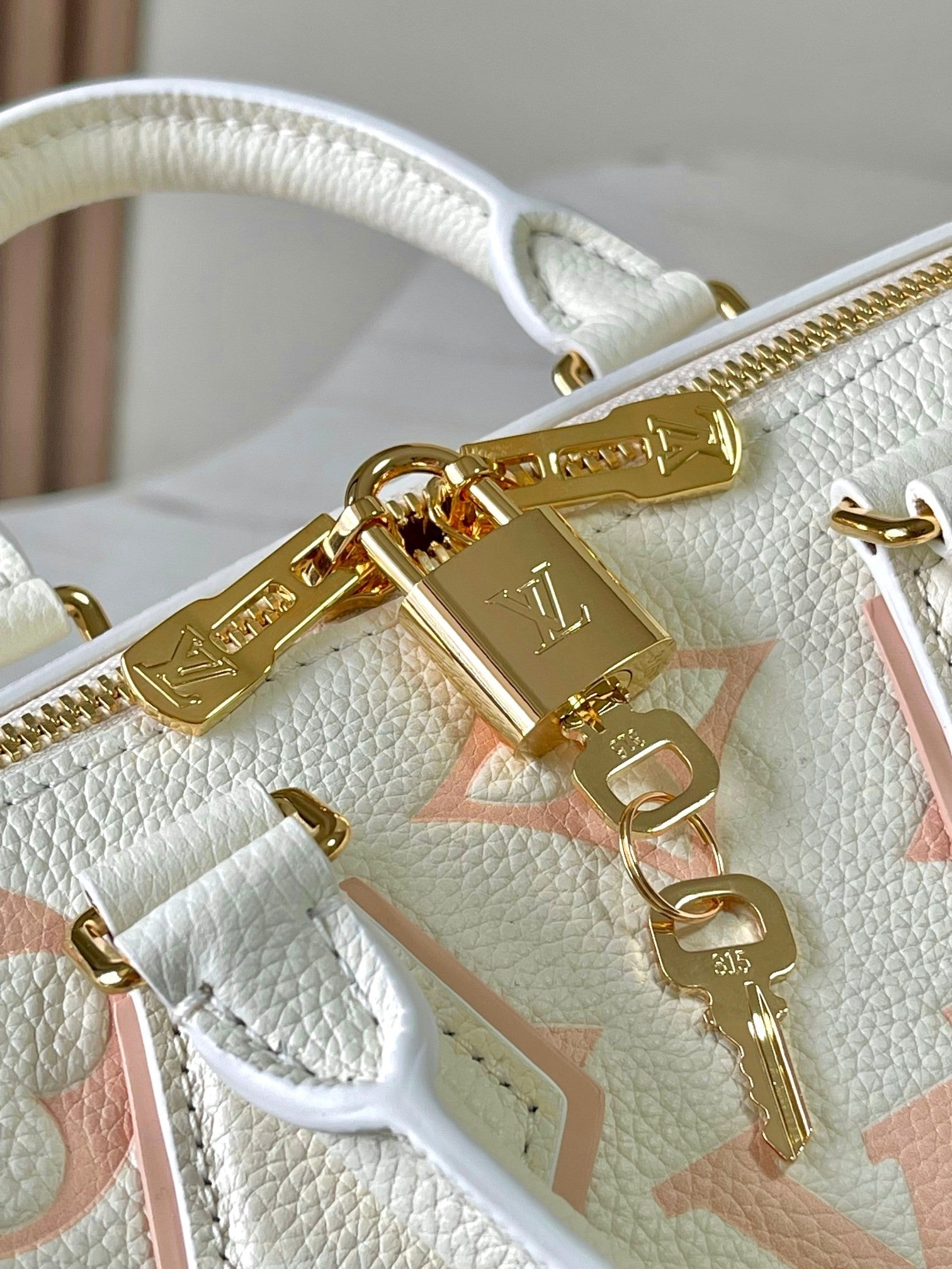 Louis Vuitton women's bags 68