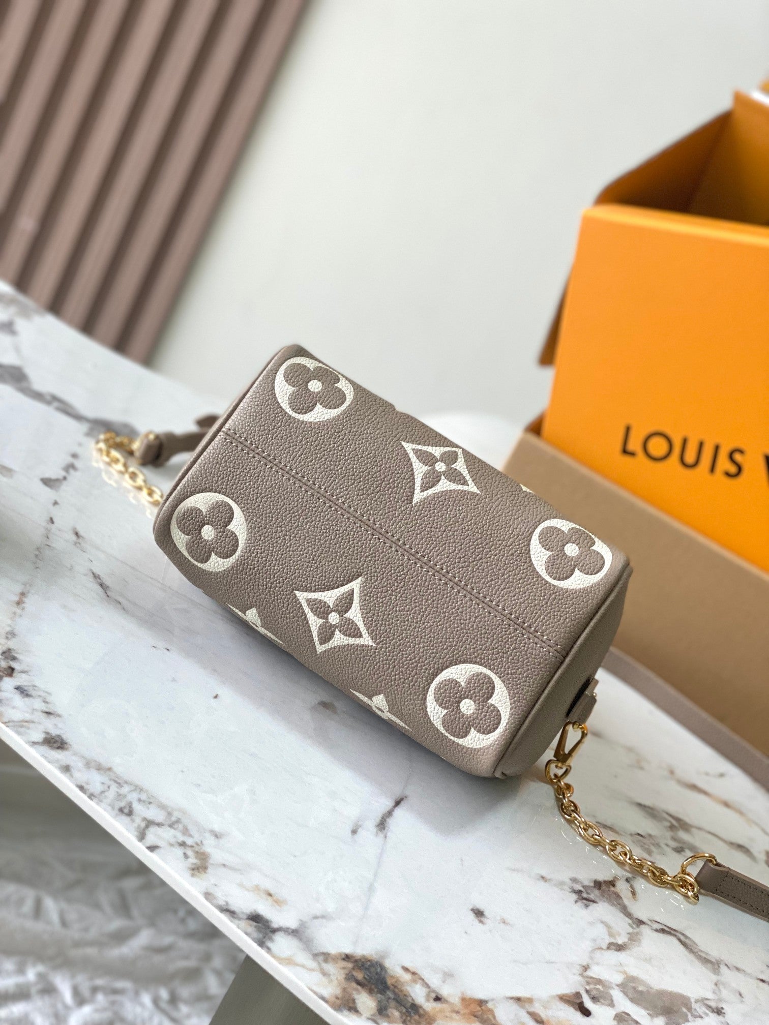 Louis Vuitton women's bags 69