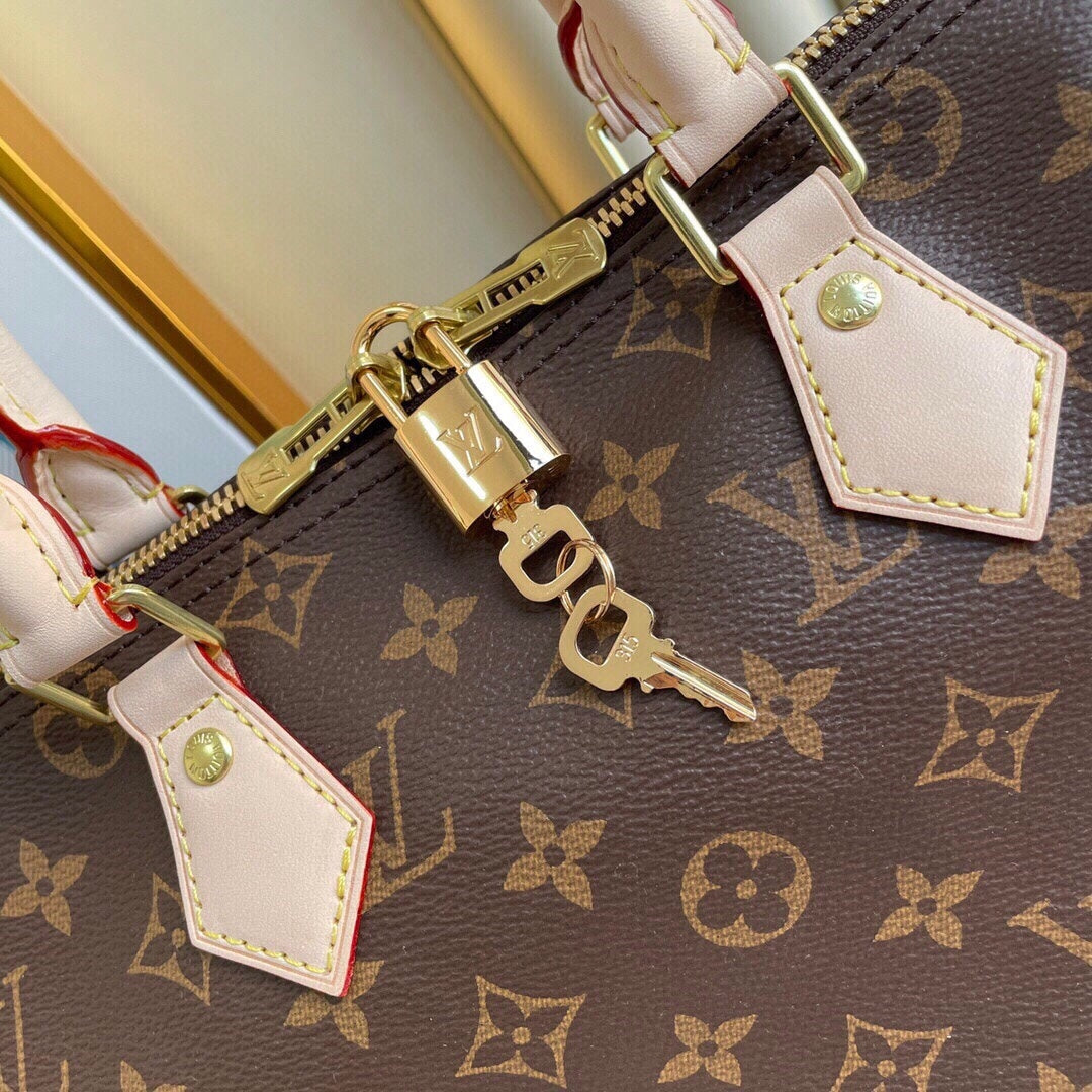 Louis Vuitton women's bags 84