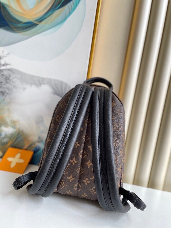 Louis Vuitton women's bags 85