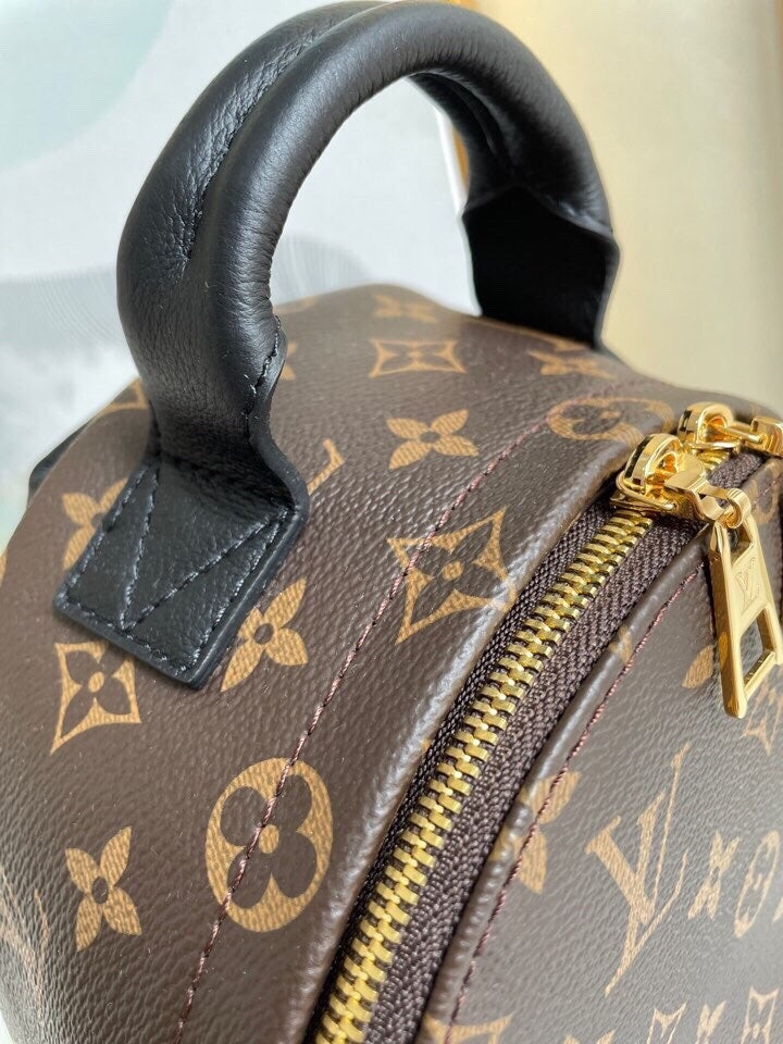 Louis Vuitton women's bags 85