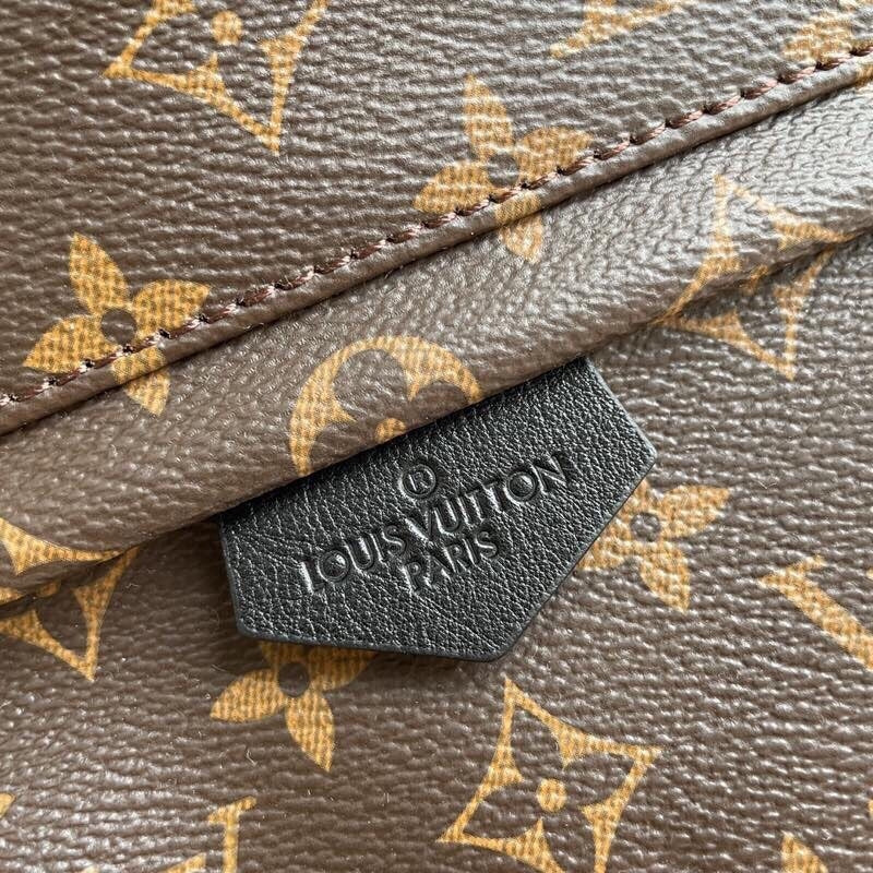 Louis Vuitton women's bags 85