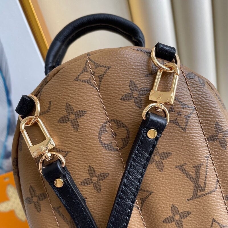 Louis Vuitton women's bags 86