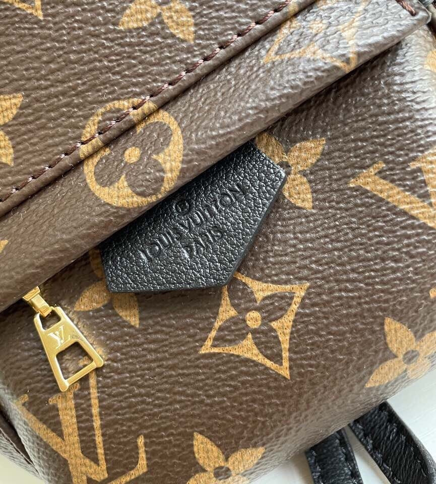 Louis Vuitton women's bags 87