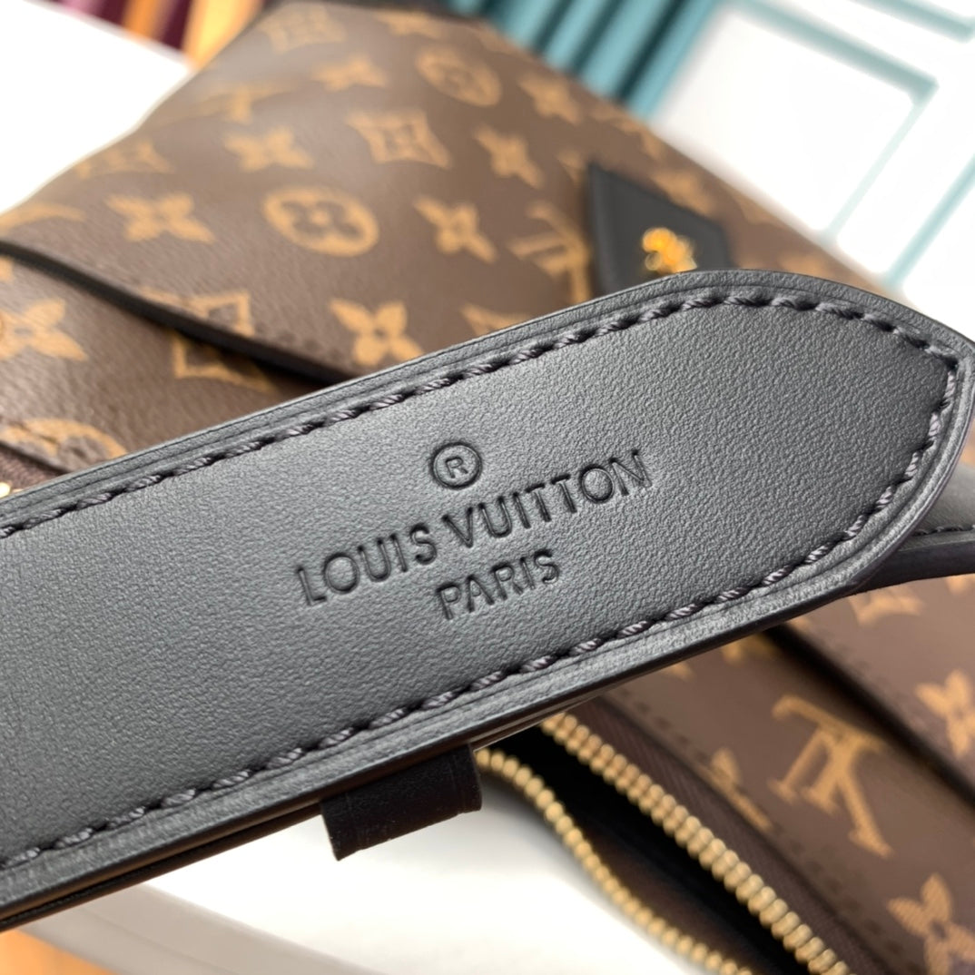 Louis Vuitton women's bags 92