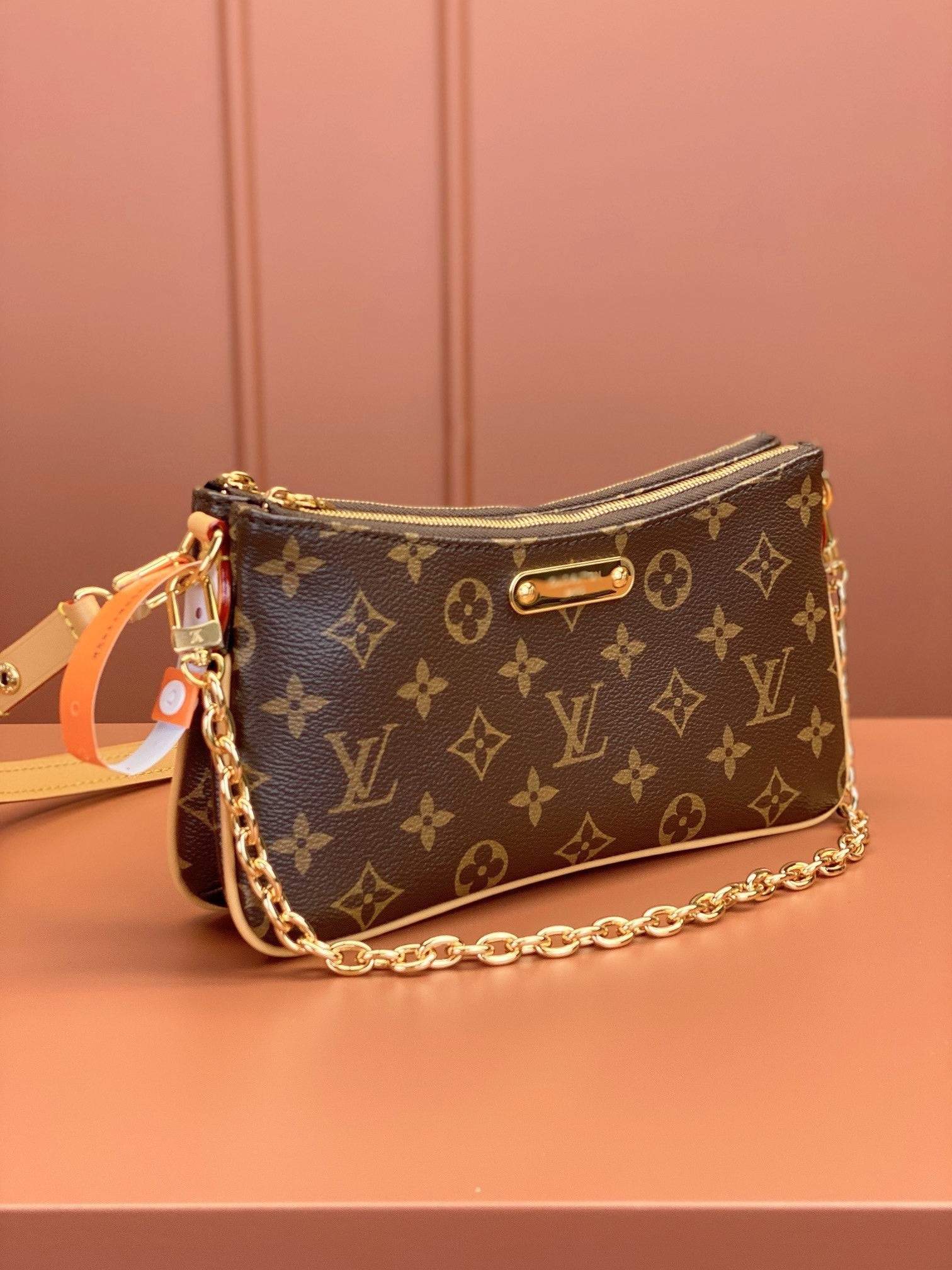 Louis Vuitton women's bags 100