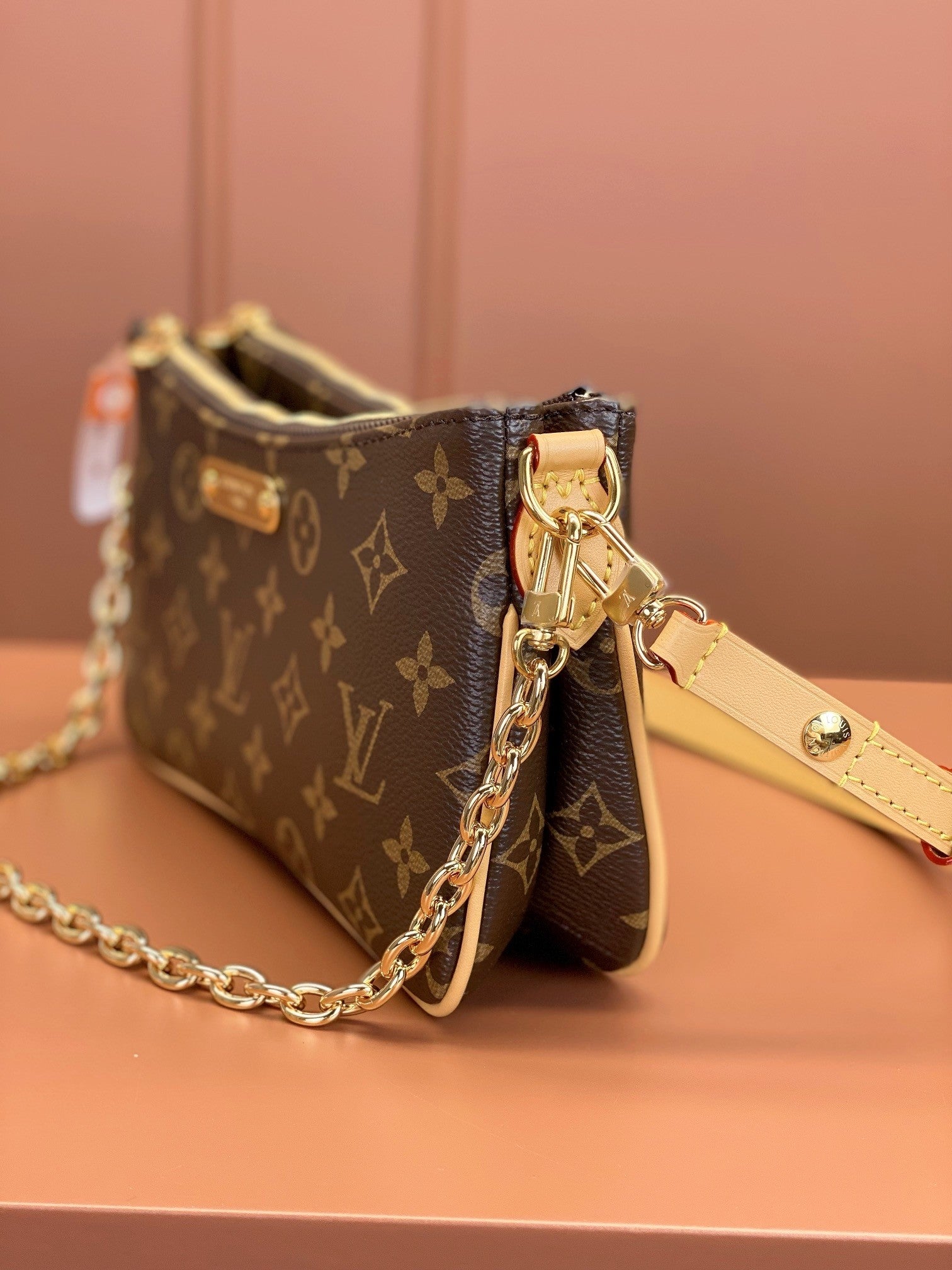 Louis Vuitton women's bags 100