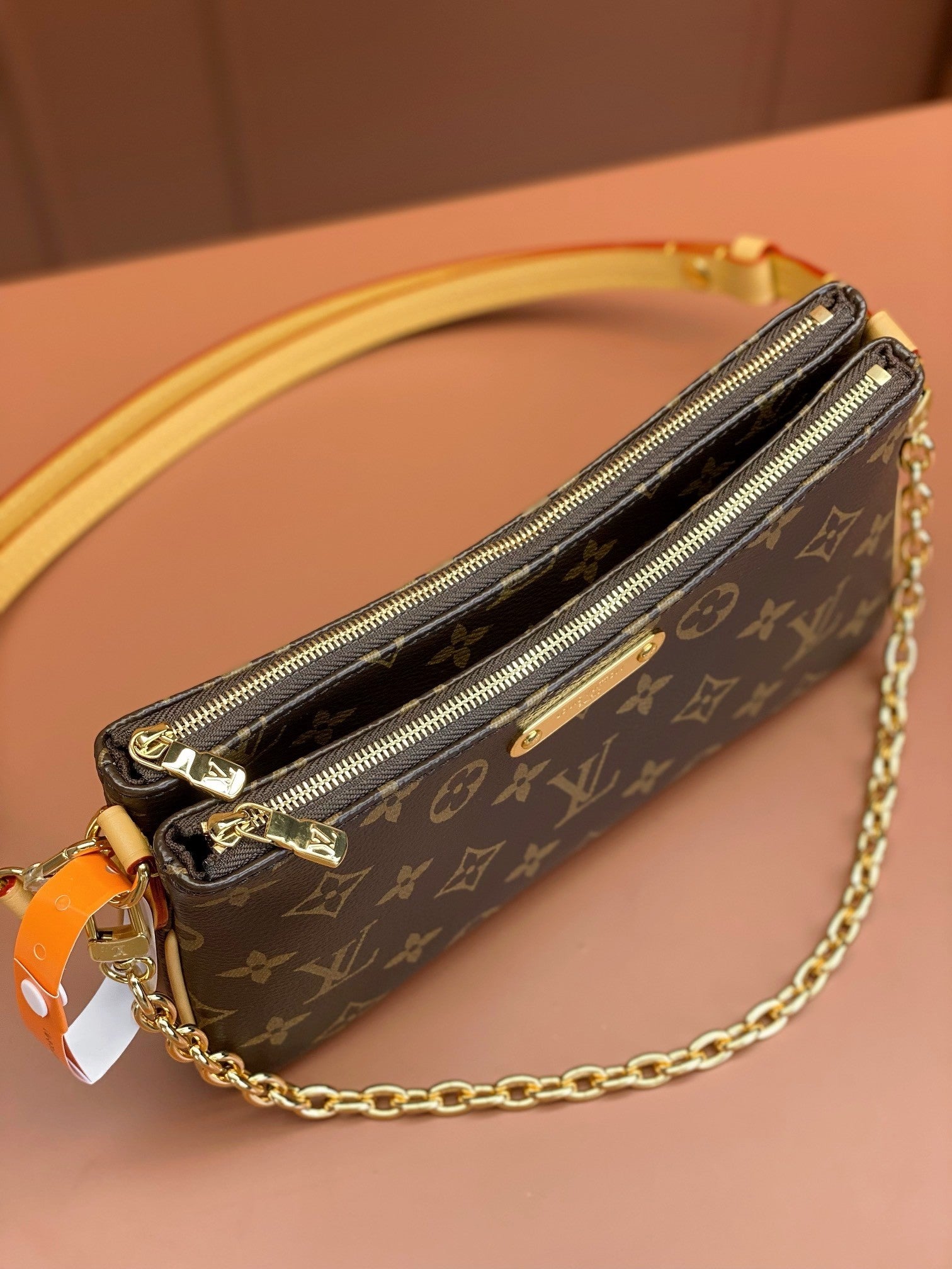 Louis Vuitton women's bags 100