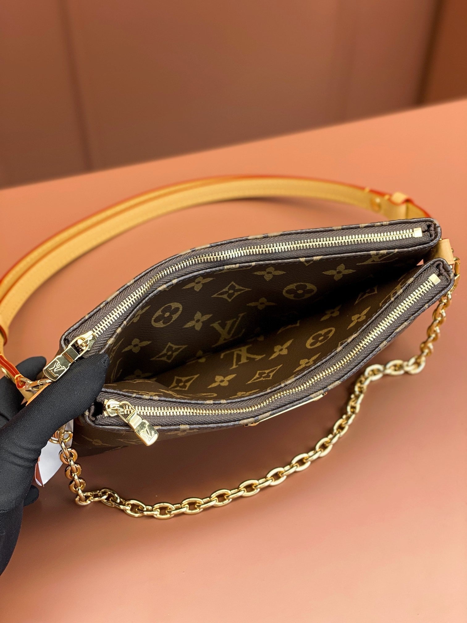 Louis Vuitton women's bags 100