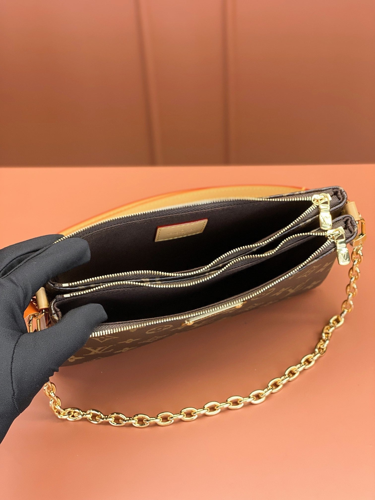 Louis Vuitton women's bags 100