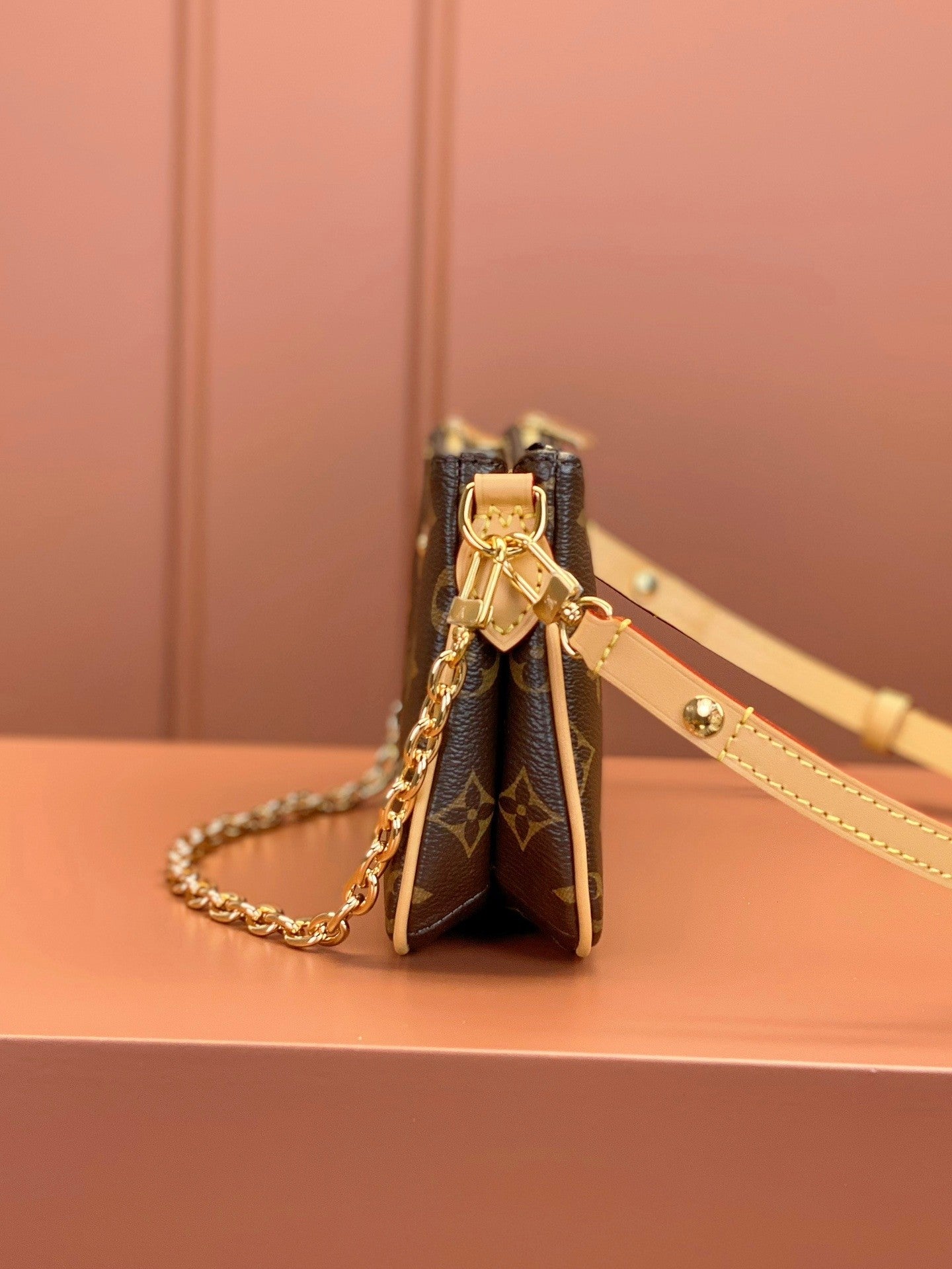 Louis Vuitton women's bags 100
