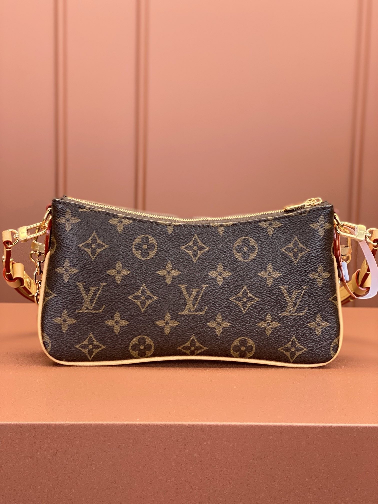 Louis Vuitton women's bags 100