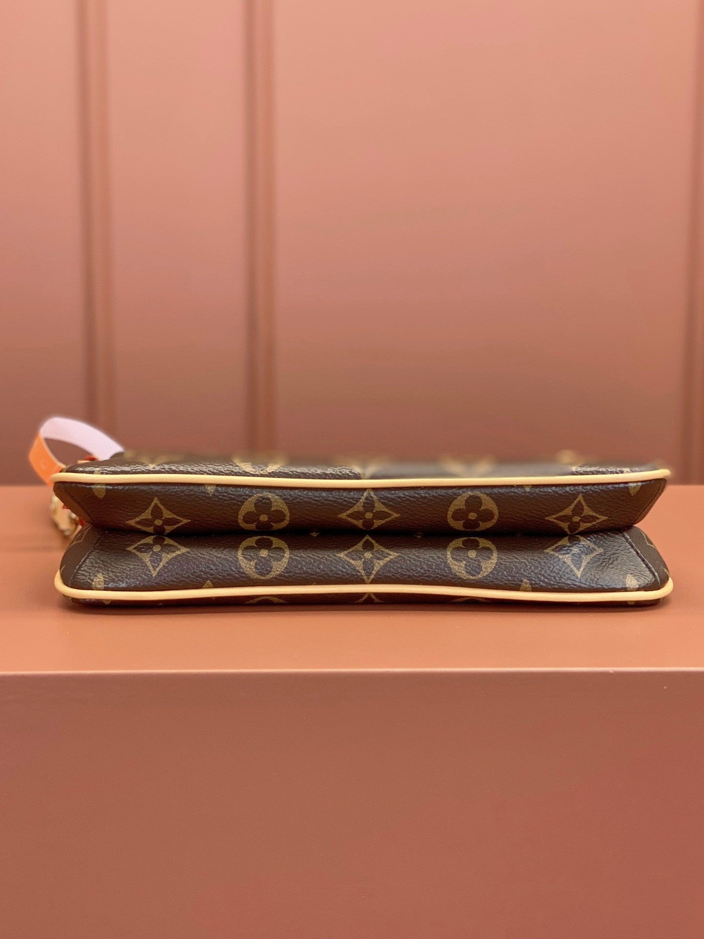 Louis Vuitton women's bags 100
