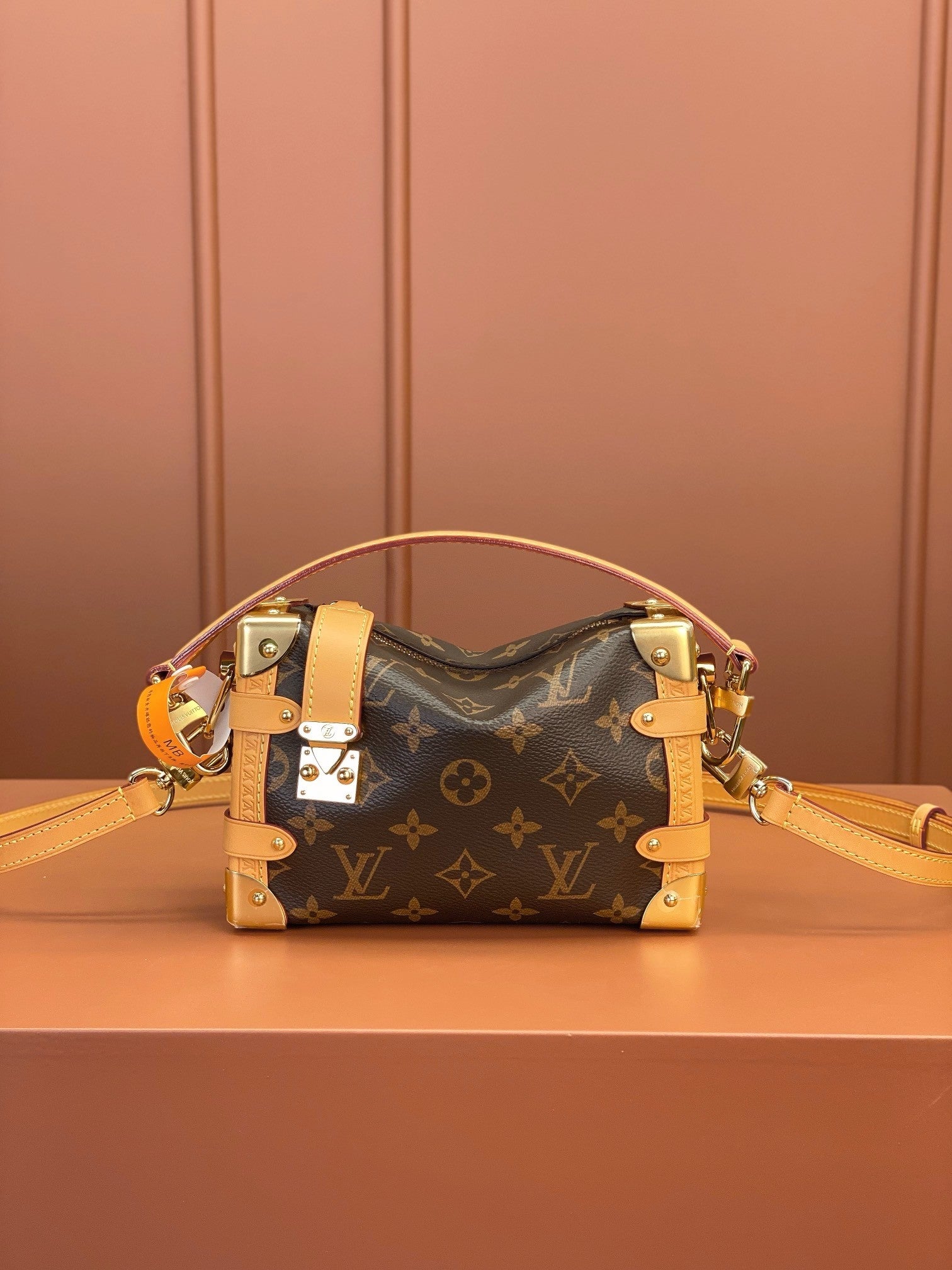 Louis Vuitton women's bags 101