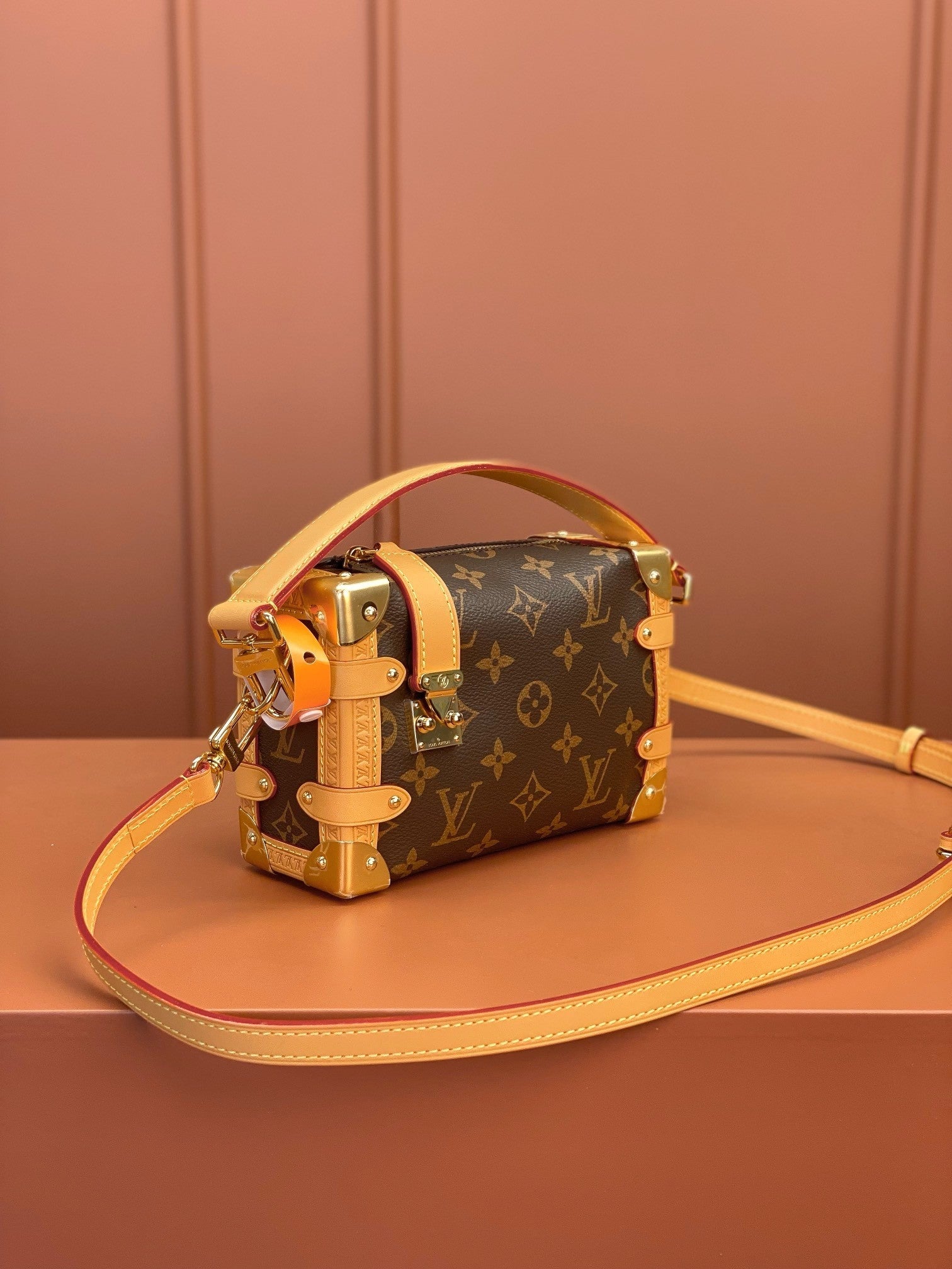 Louis Vuitton women's bags 101
