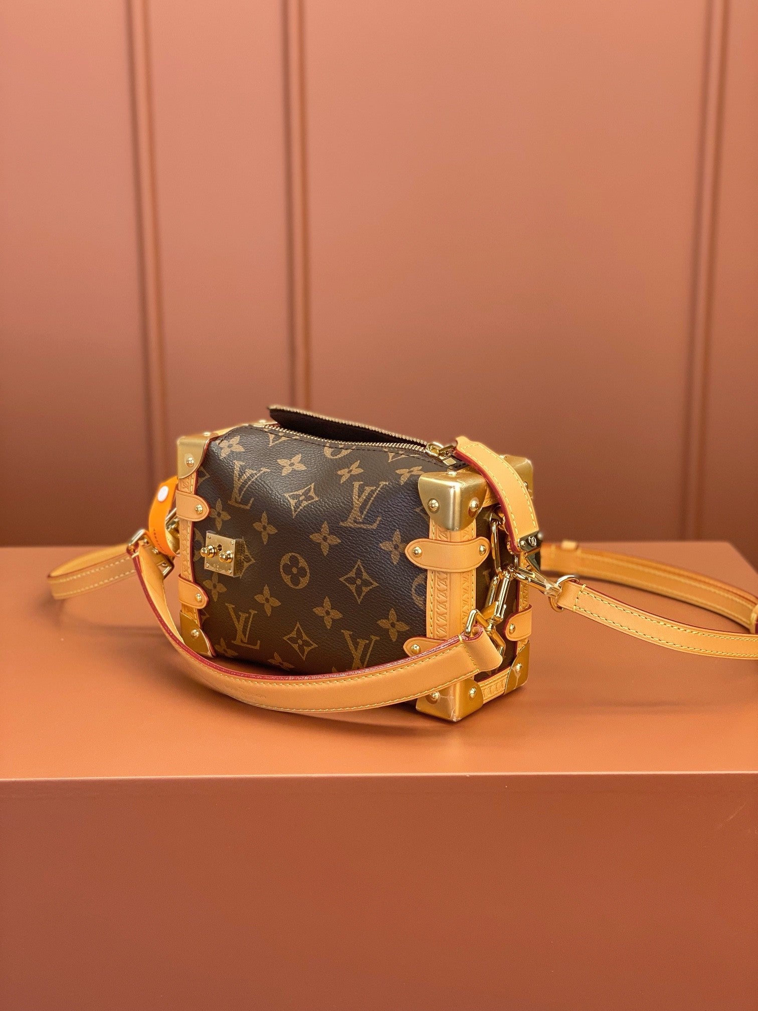Louis Vuitton women's bags 101