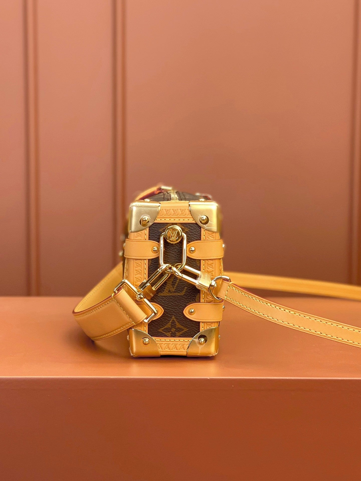 Louis Vuitton women's bags 101