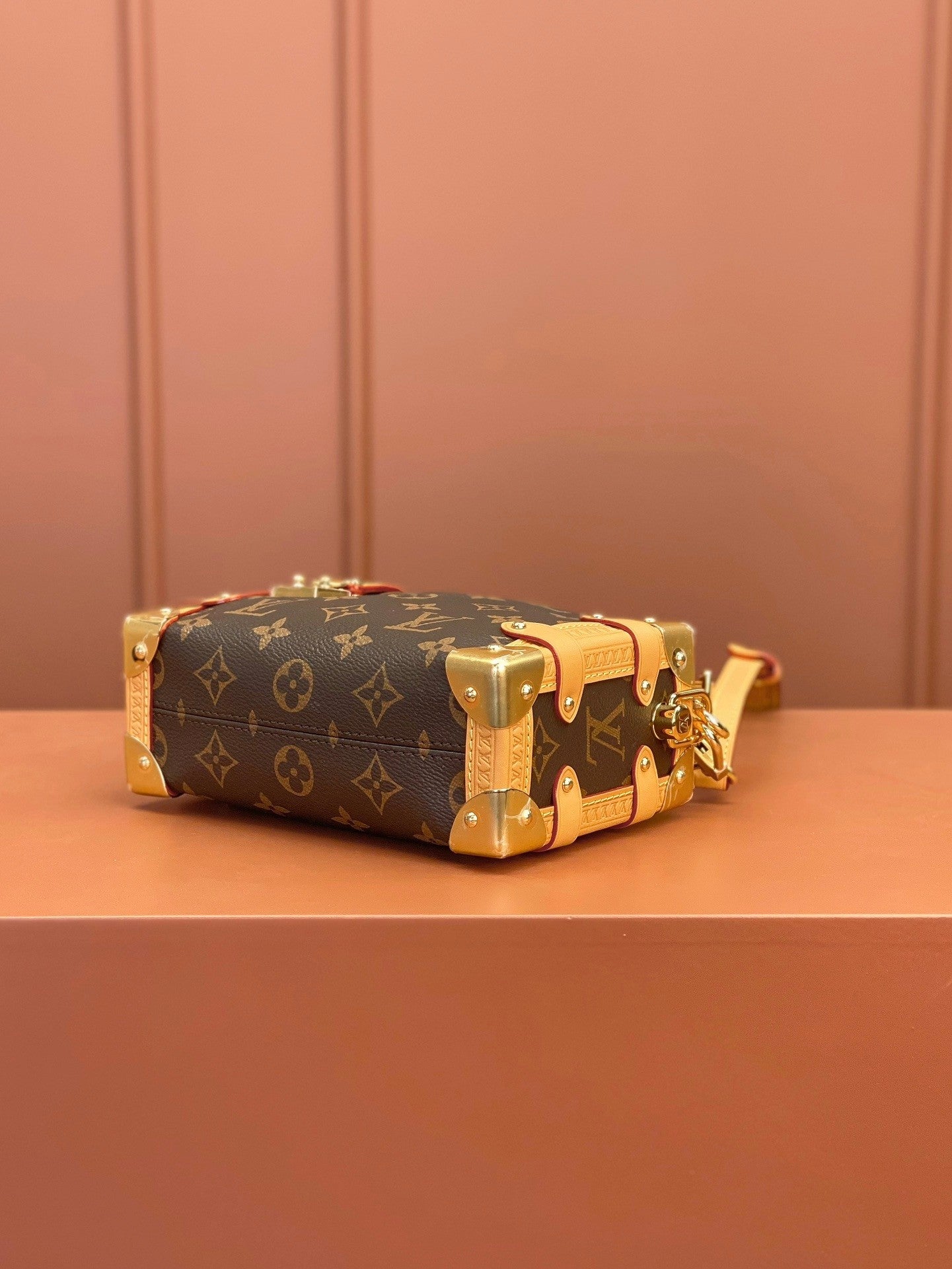 Louis Vuitton women's bags 101