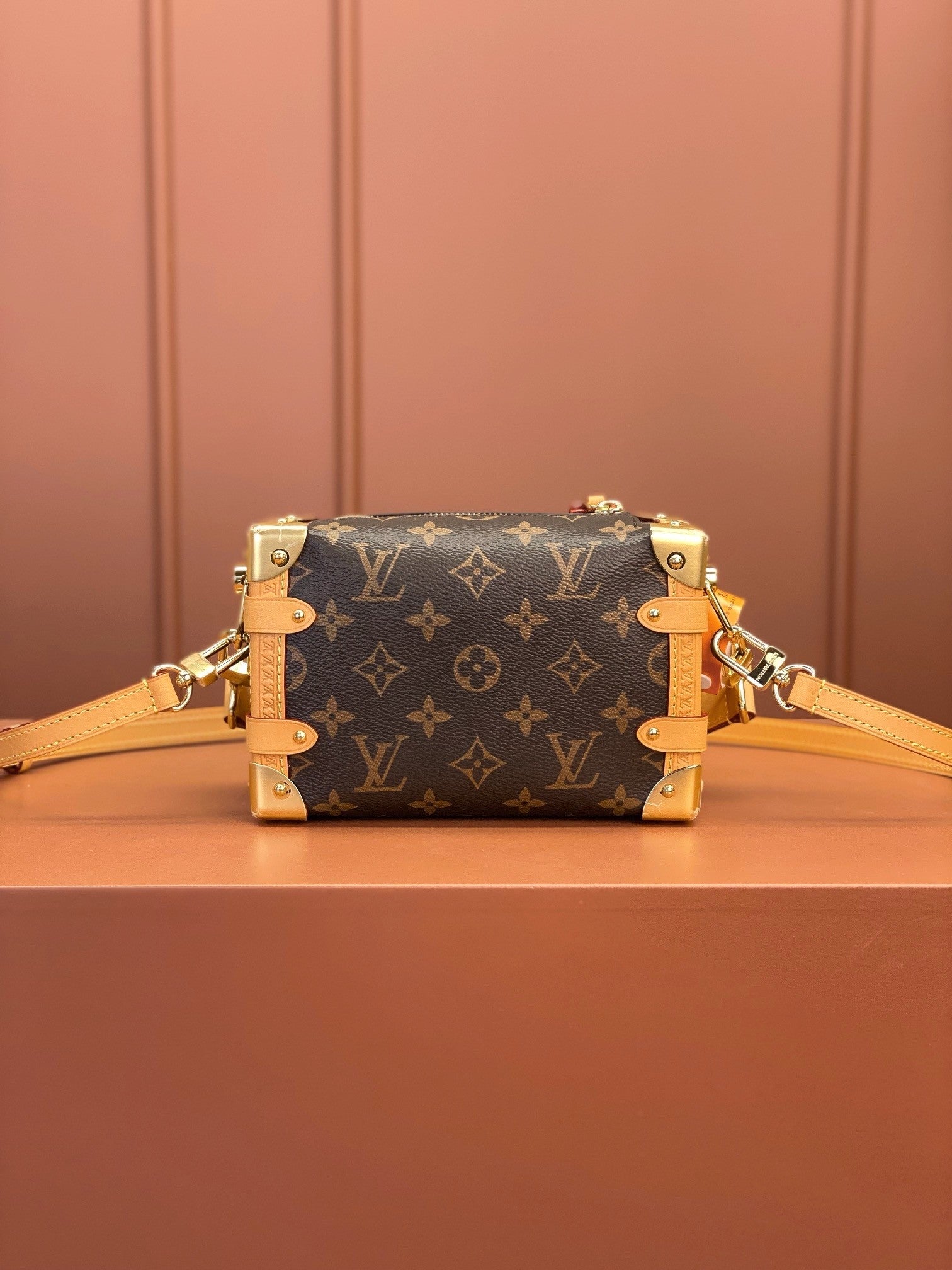 Louis Vuitton women's bags 101
