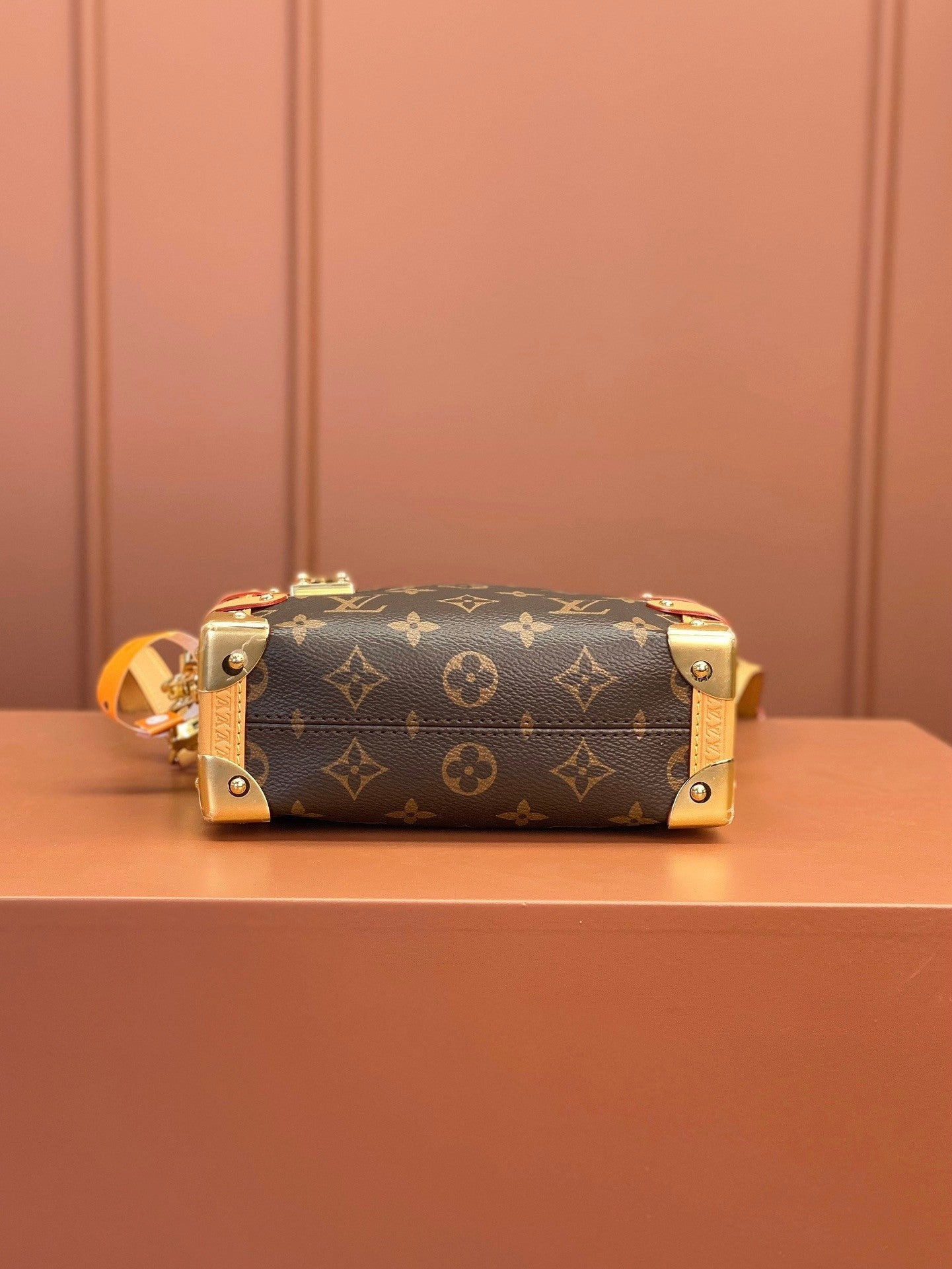 Louis Vuitton women's bags 101