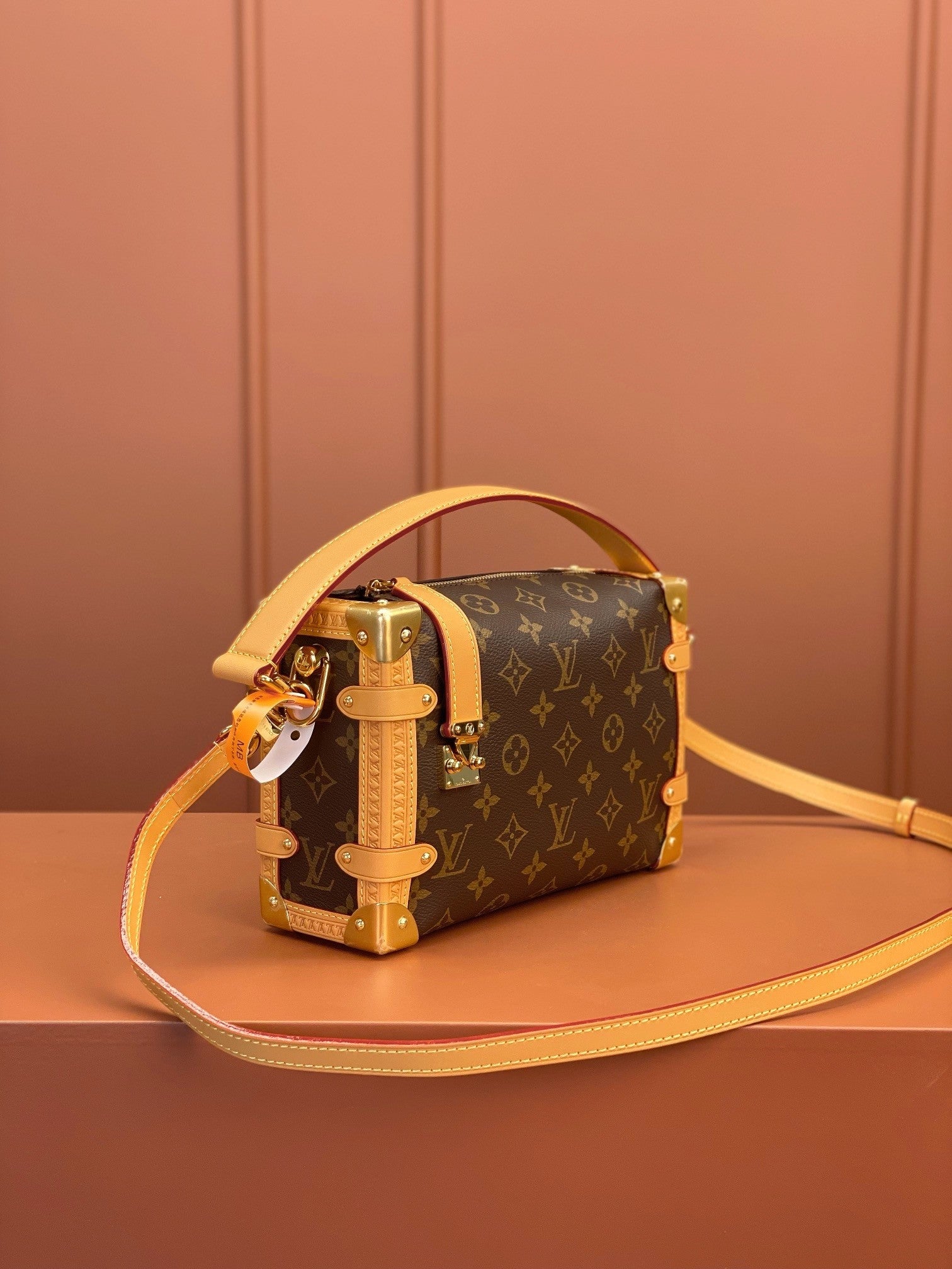 Louis Vuitton women's bags 103