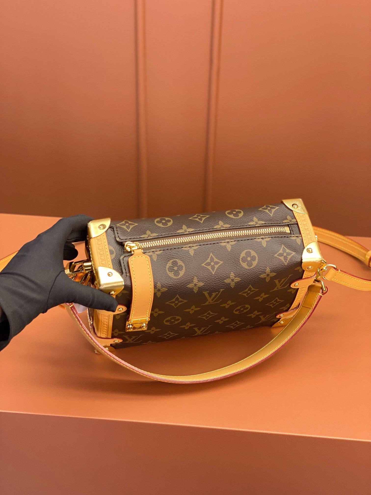 Louis Vuitton women's bags 103