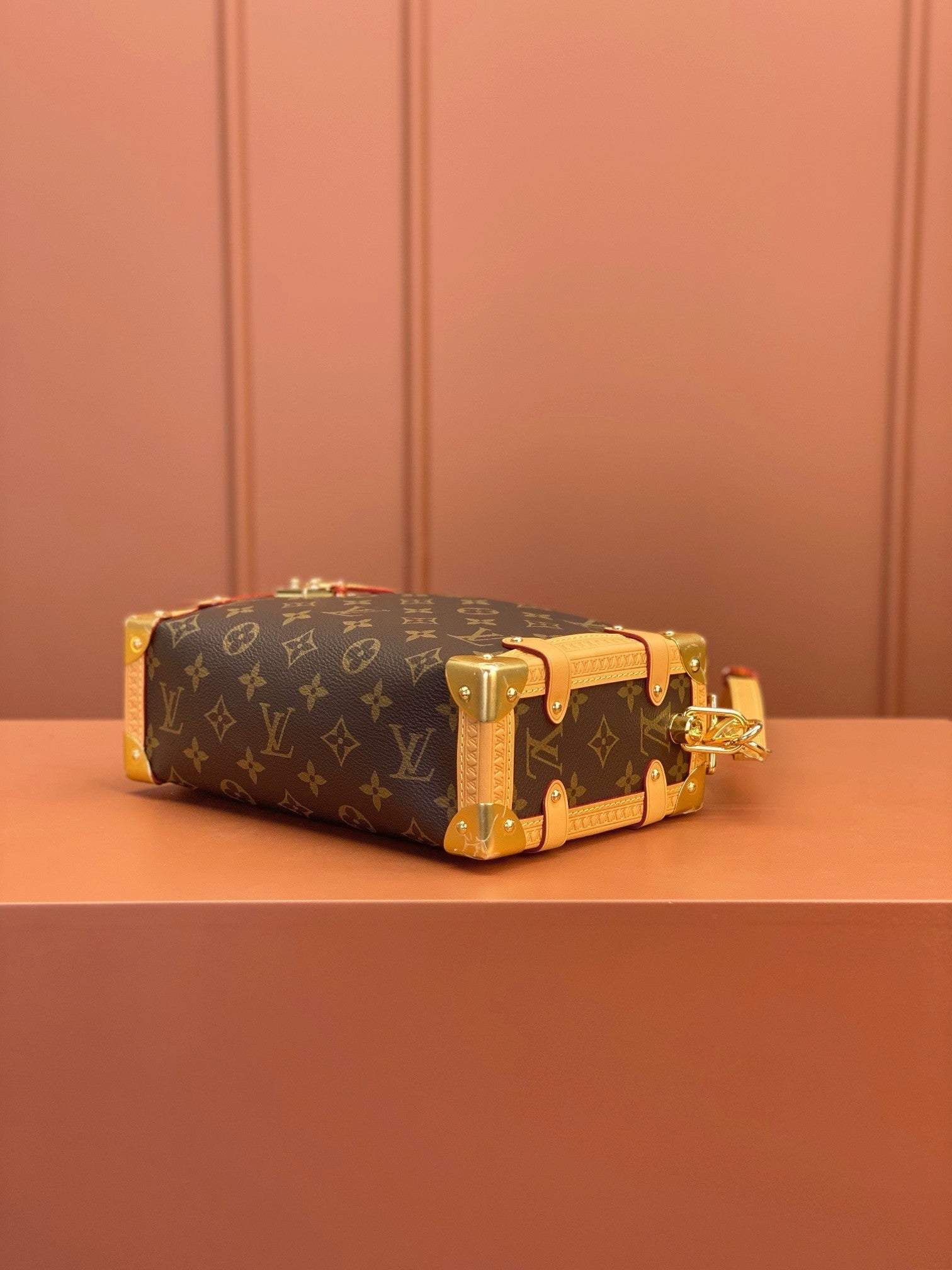 Louis Vuitton women's bags 103