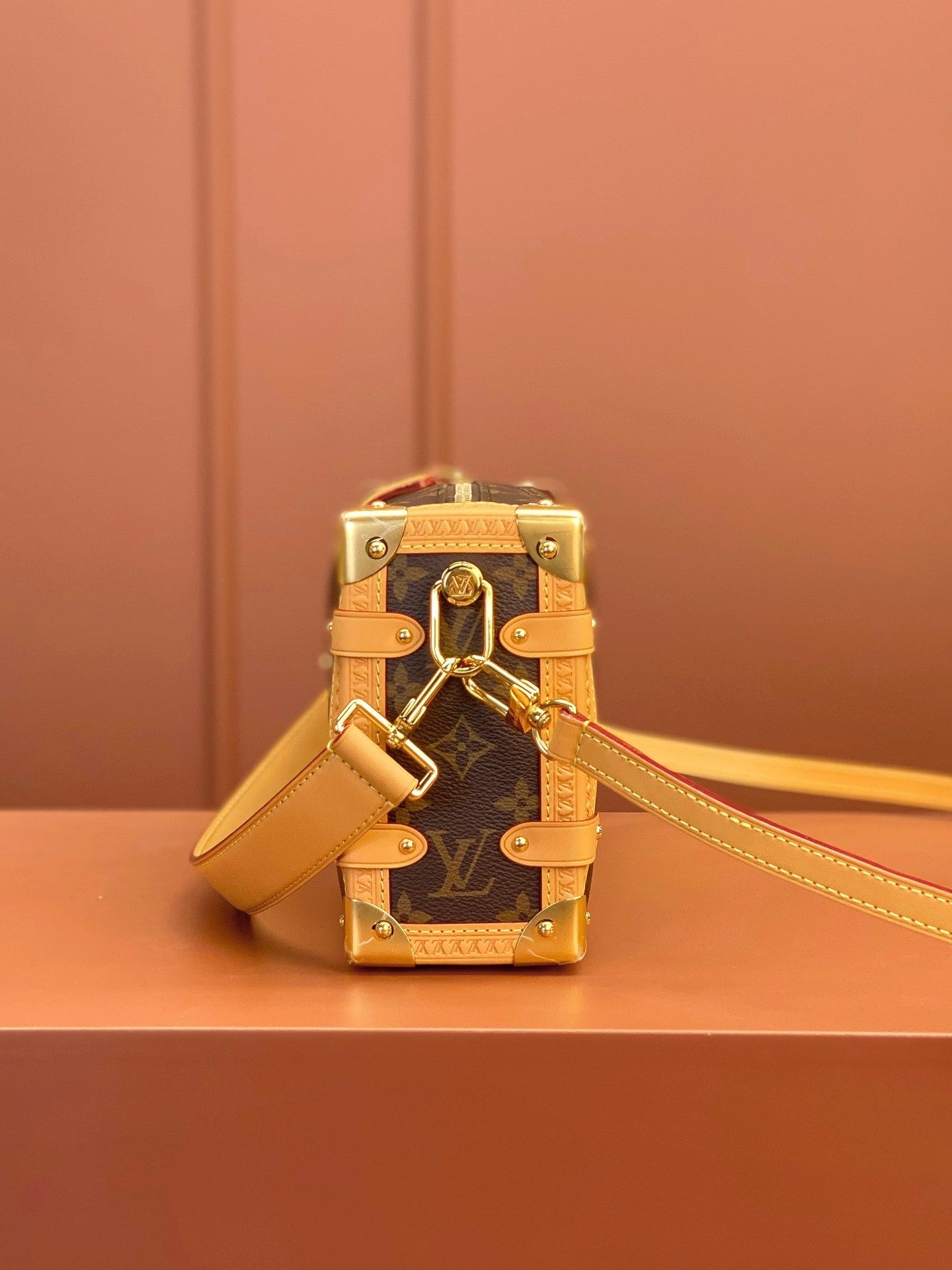 Louis Vuitton women's bags 103