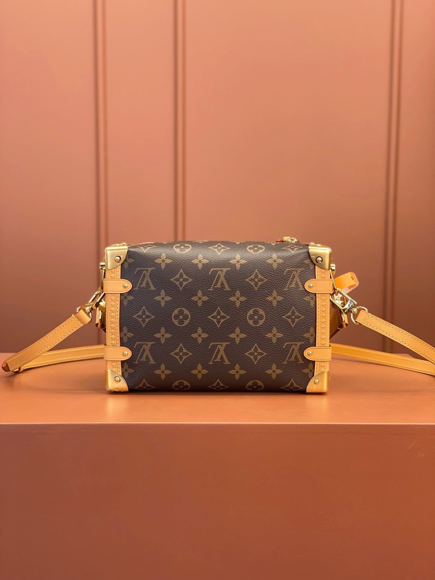 Louis Vuitton women's bags 103