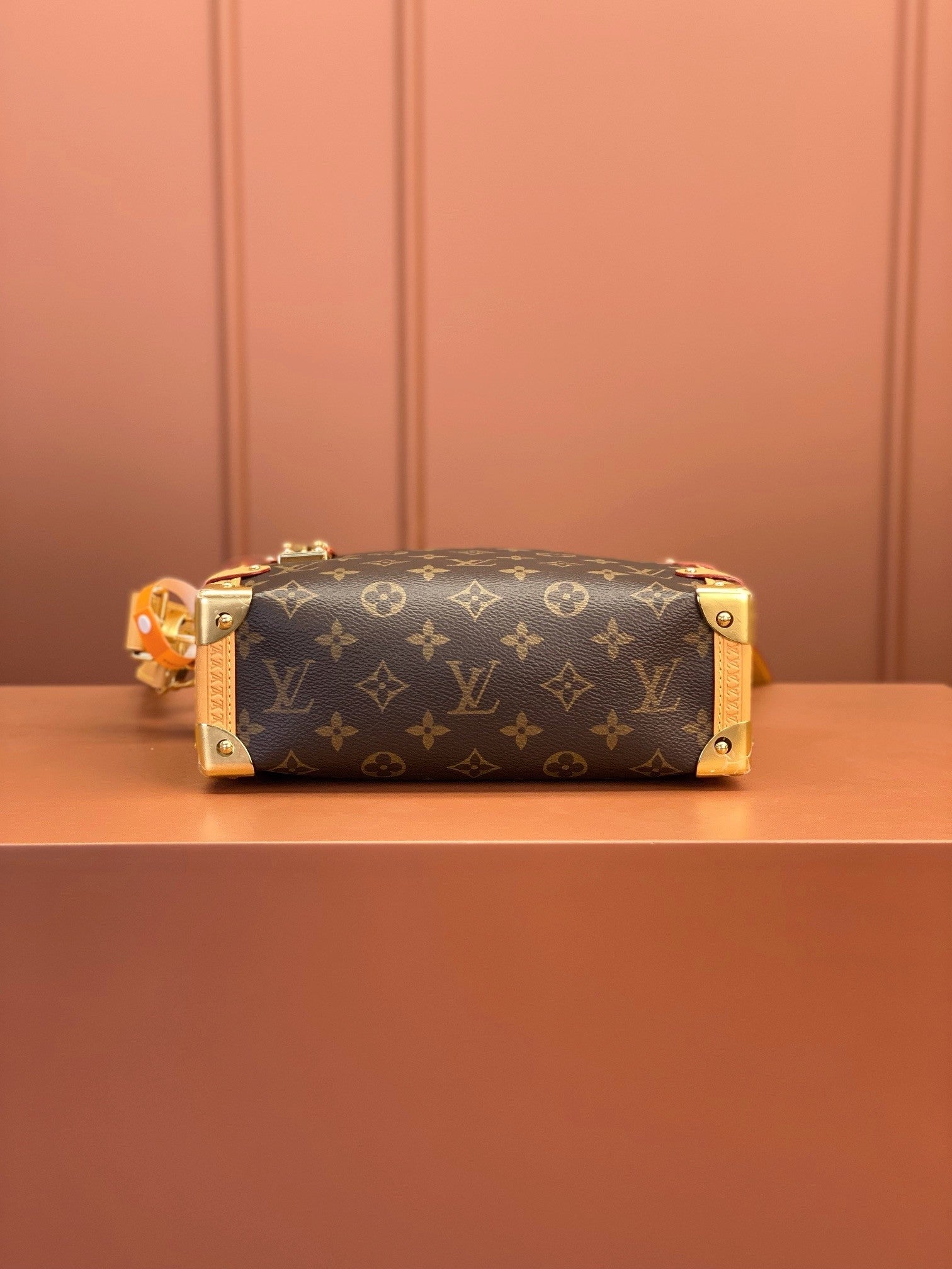 Louis Vuitton women's bags 103