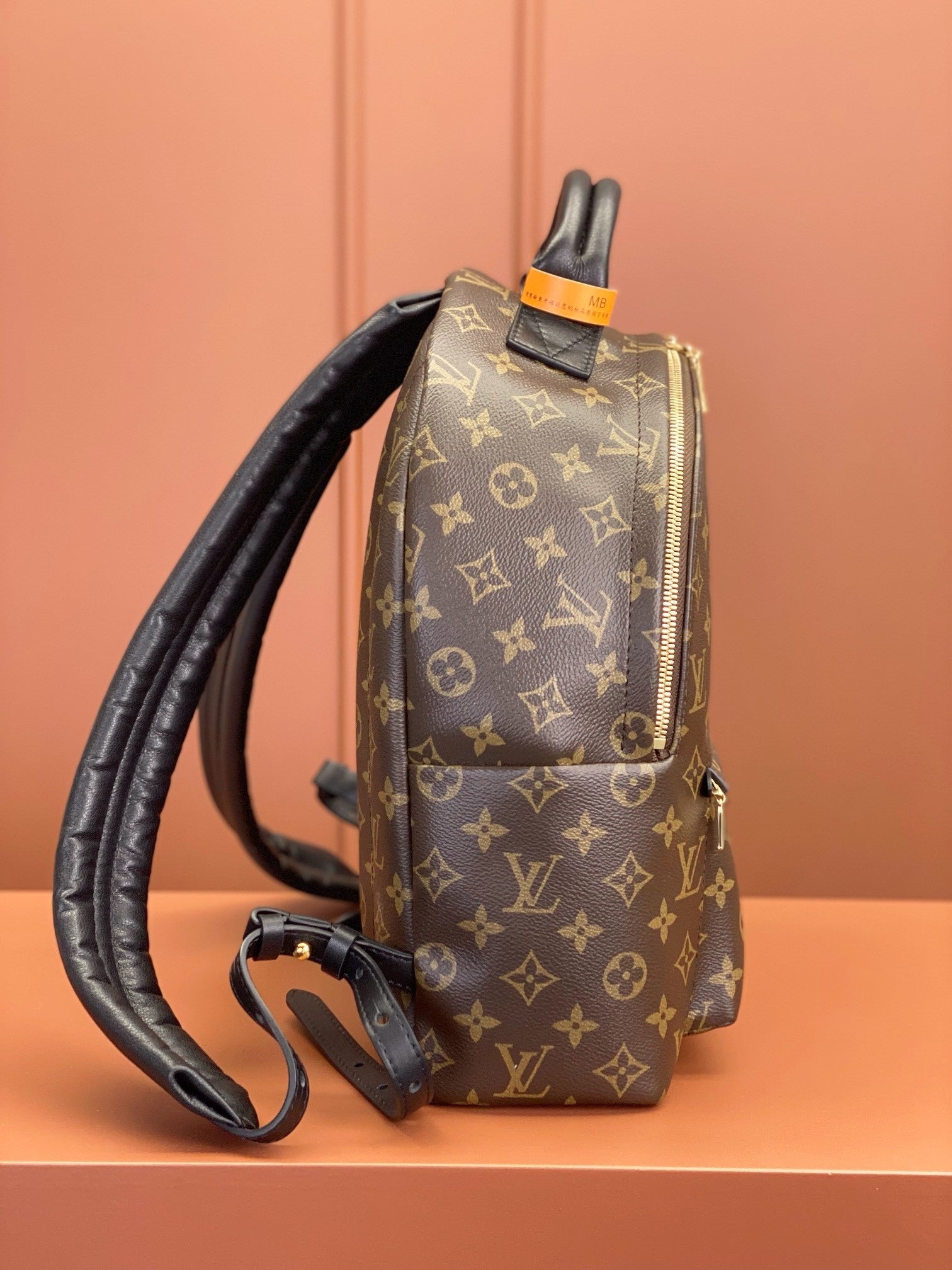 Louis Vuitton women's bags 106