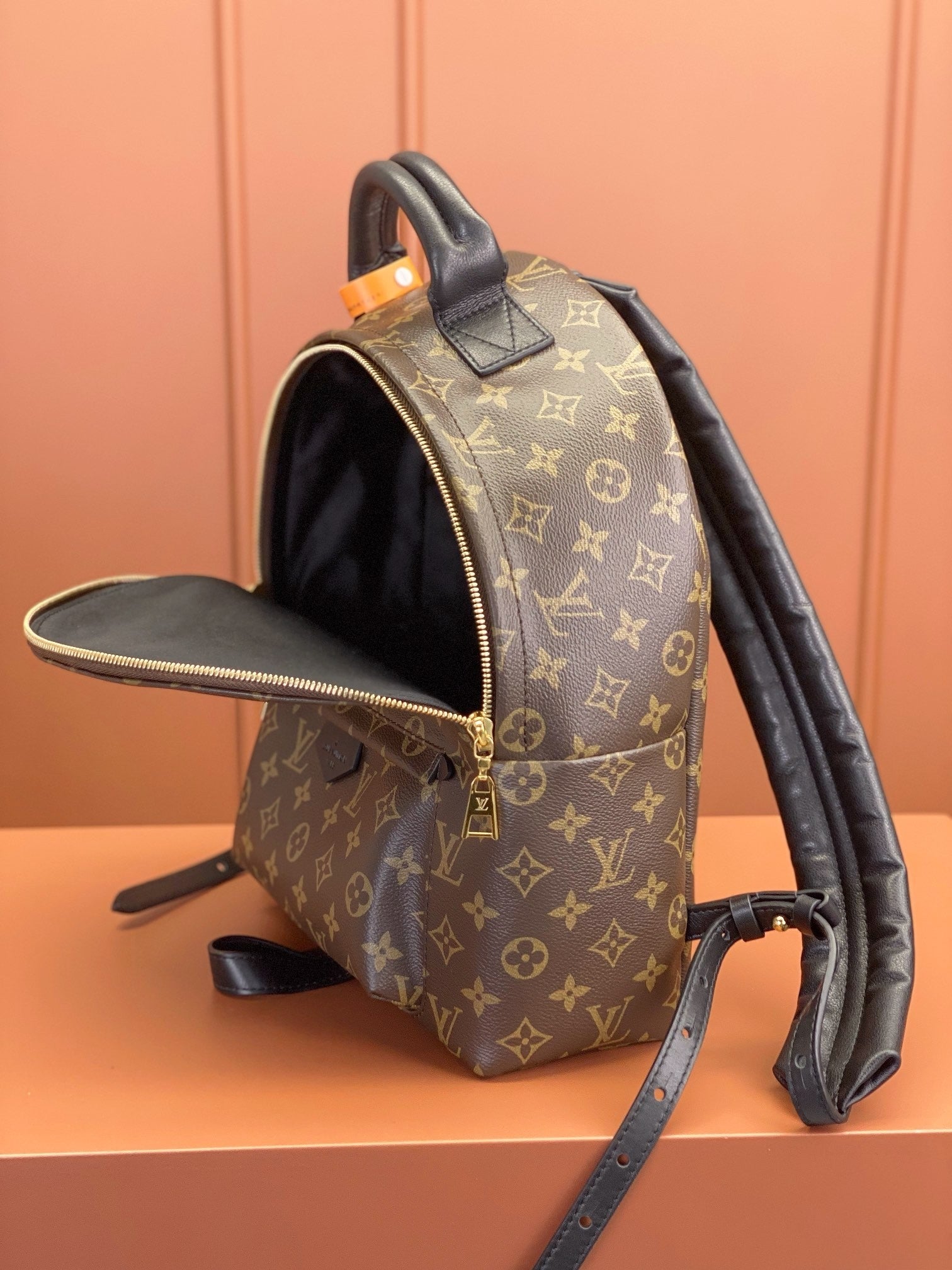 Louis Vuitton women's bags 106