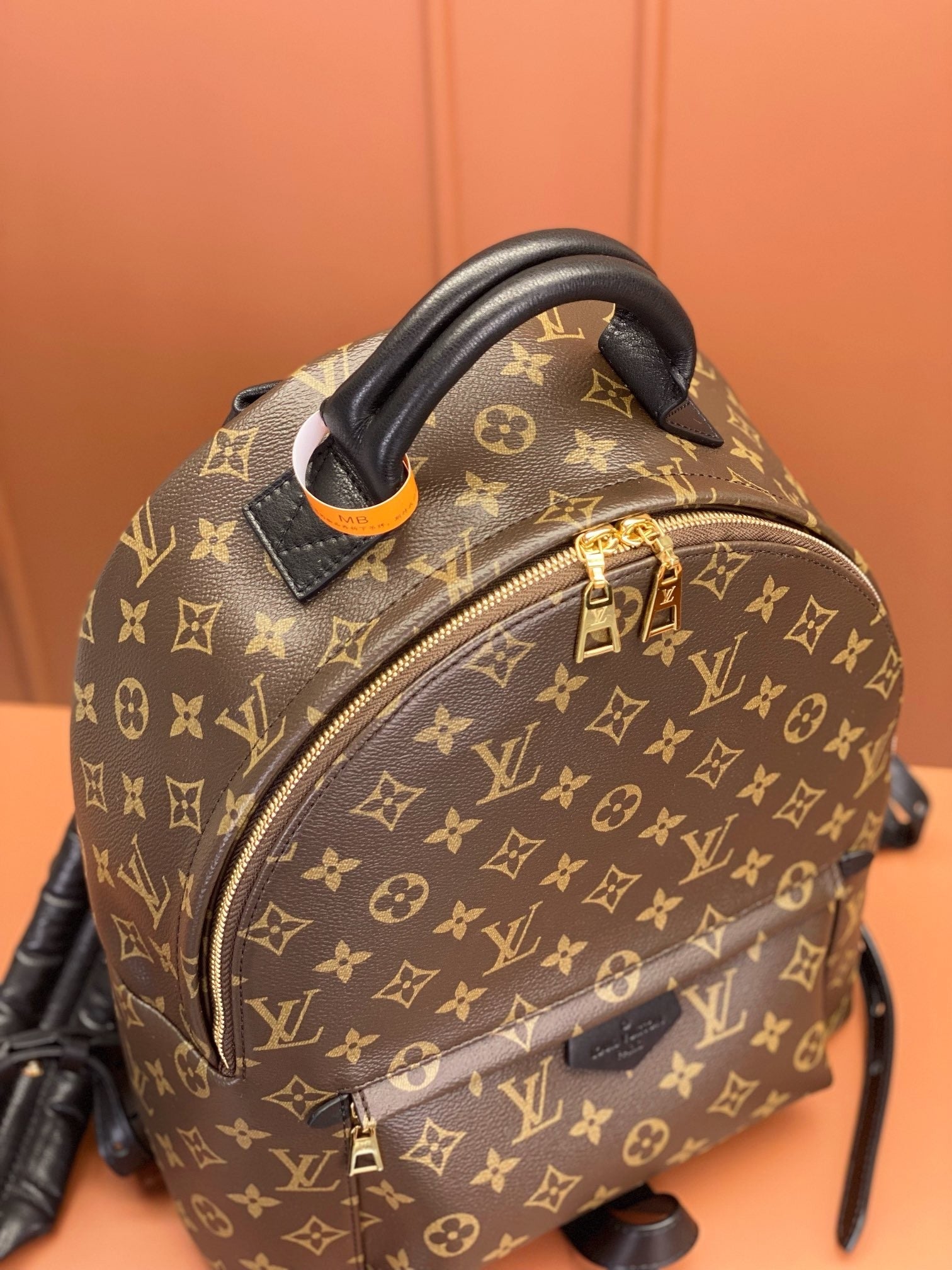 Louis Vuitton women's bags 106