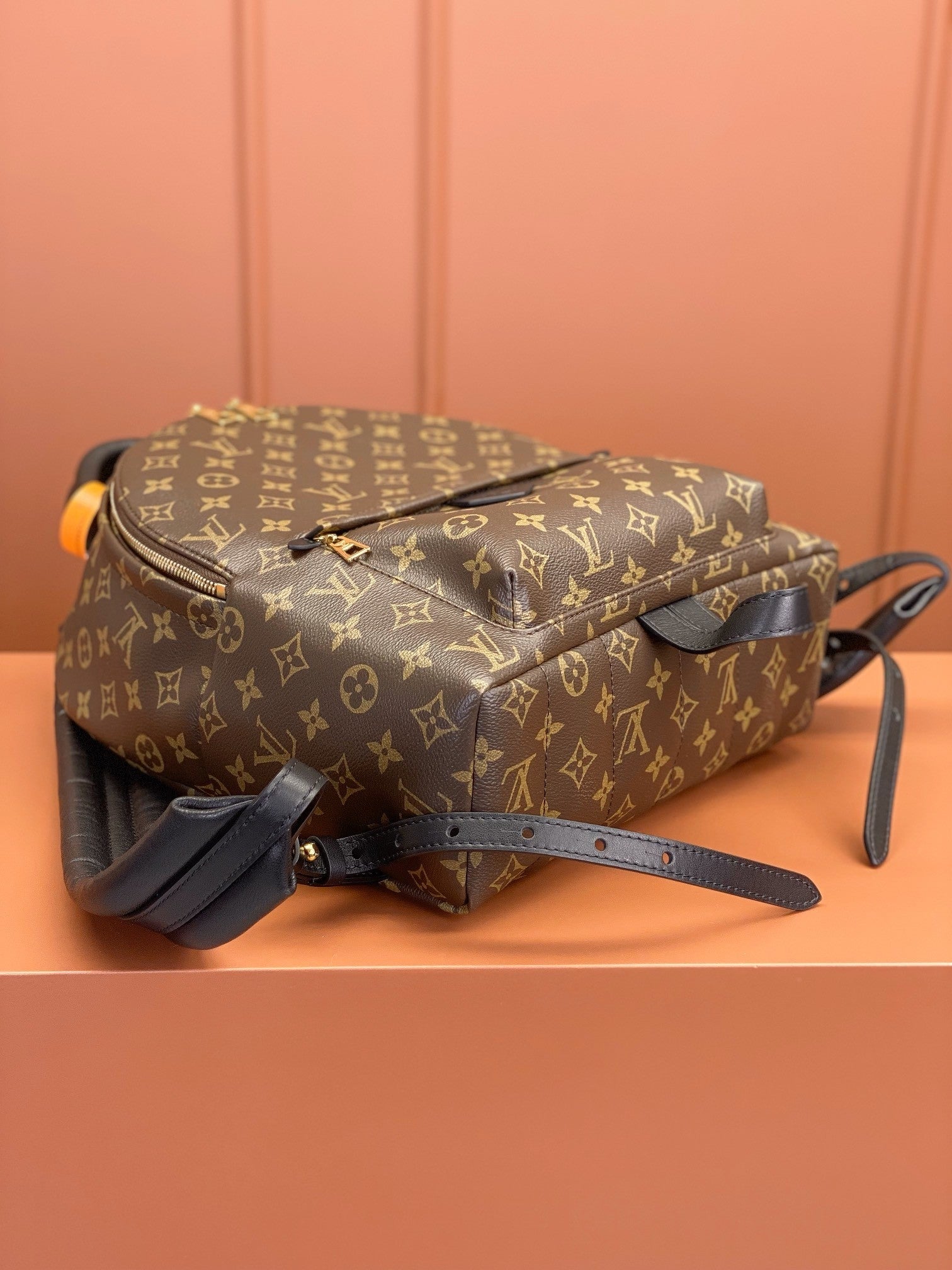 Louis Vuitton women's bags 106