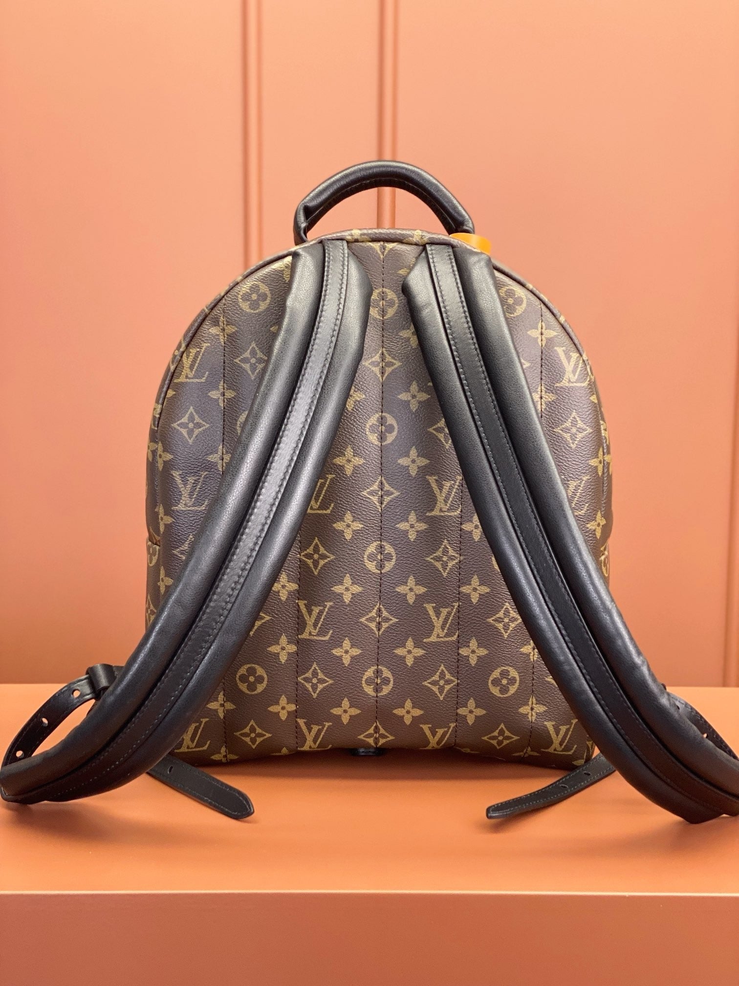 Louis Vuitton women's bags 106