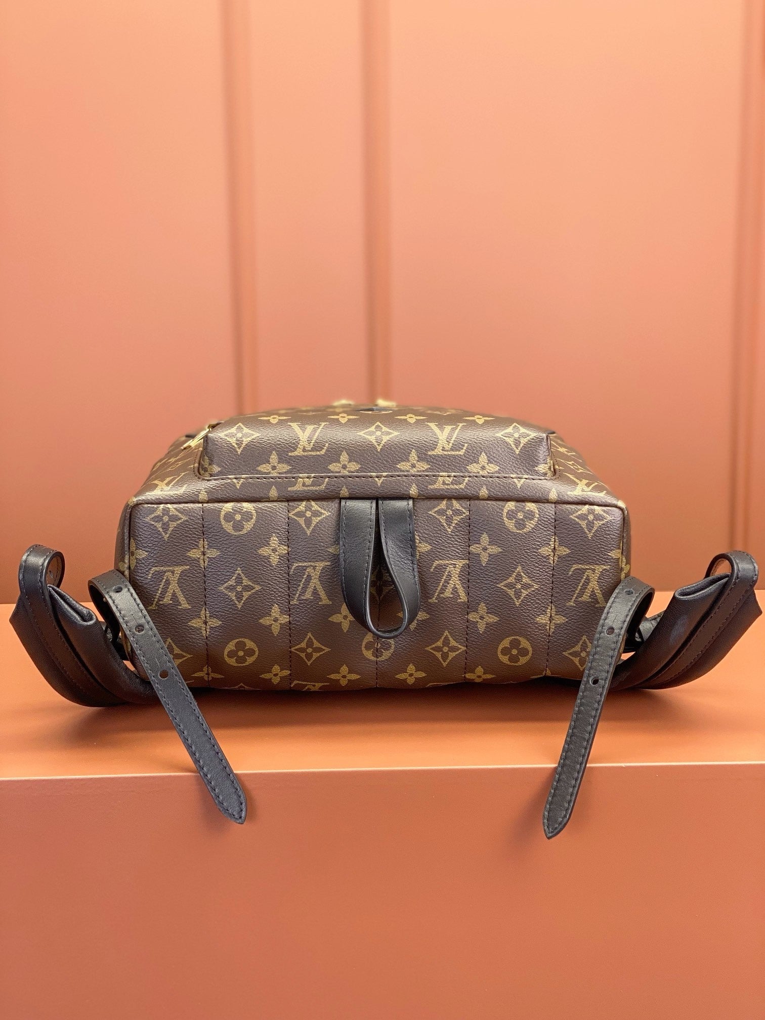 Louis Vuitton women's bags 106