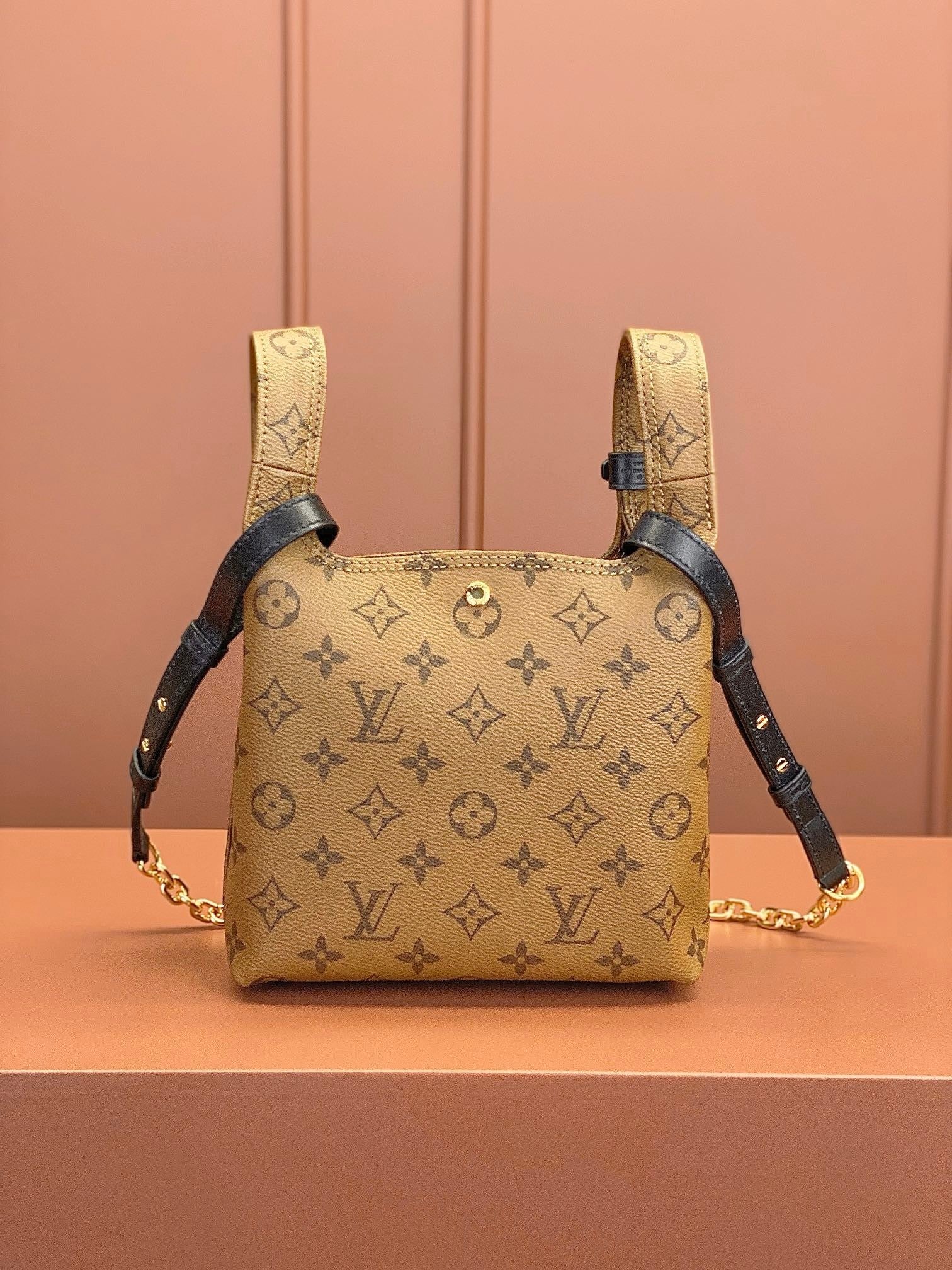 Louis Vuitton women's bags 107