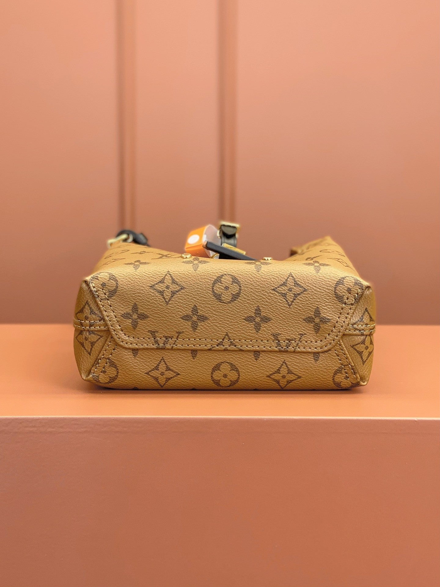 Louis Vuitton women's bags 107