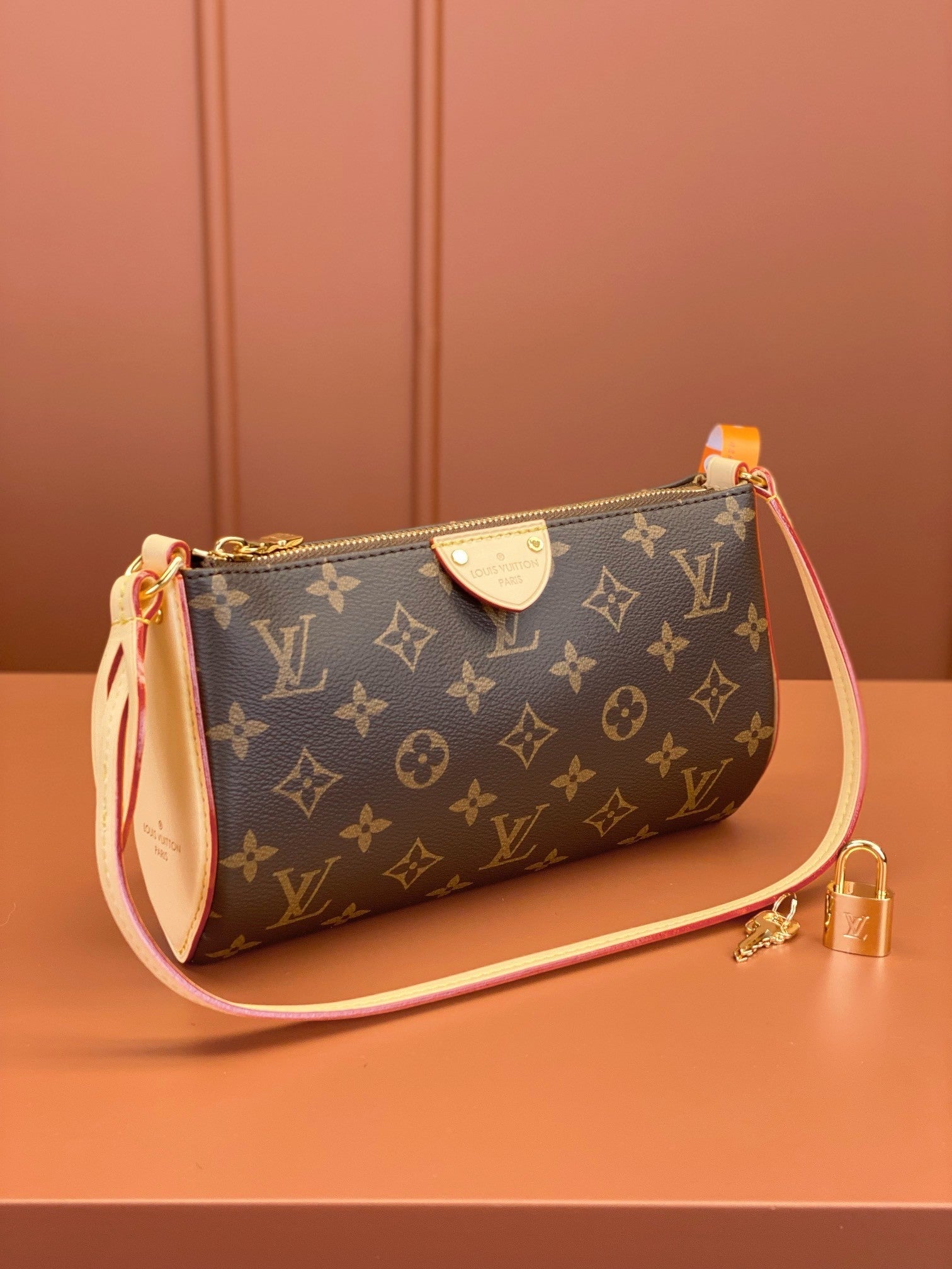 Louis Vuitton women's bags 108