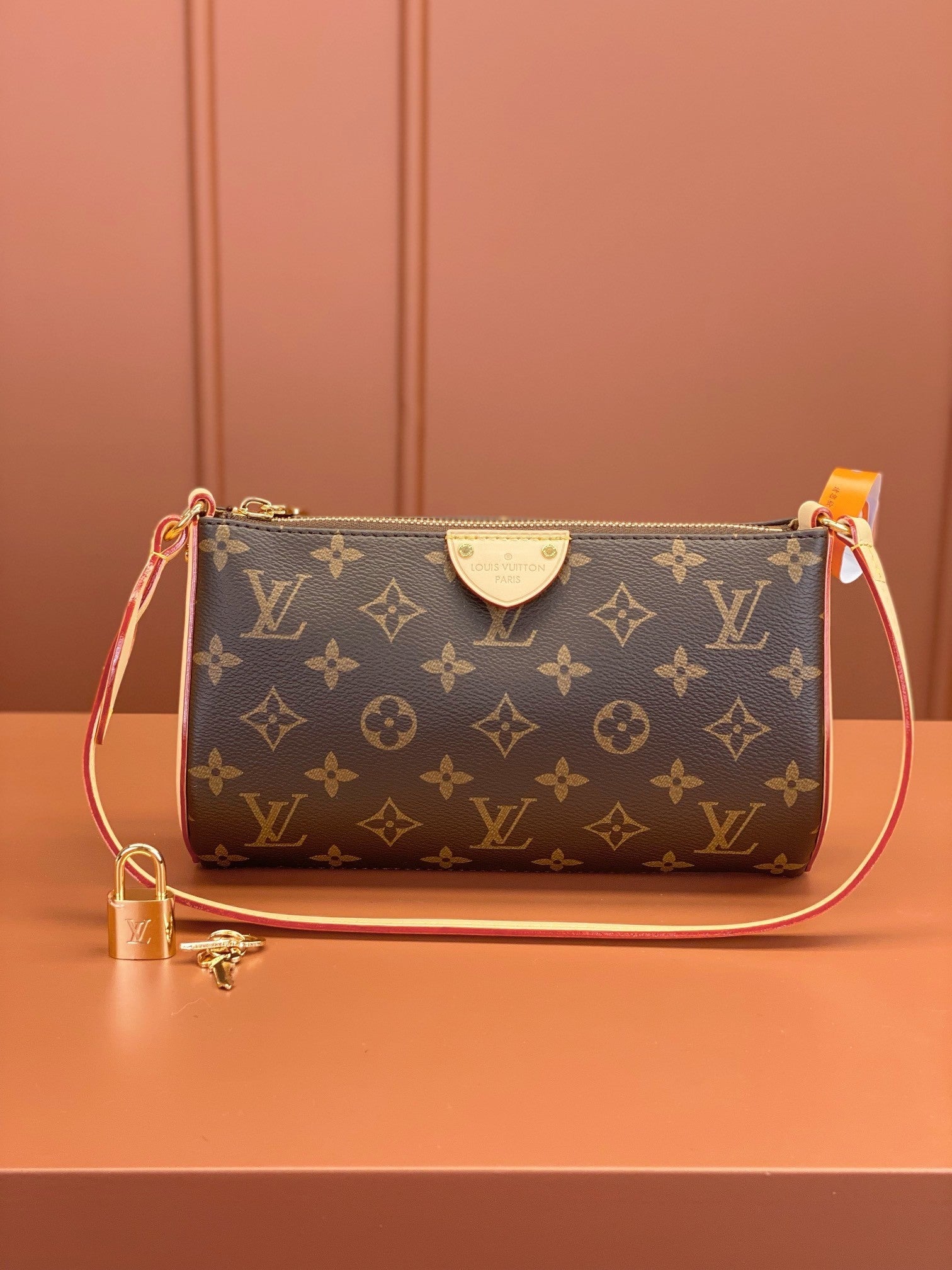 Louis Vuitton women's bags 108