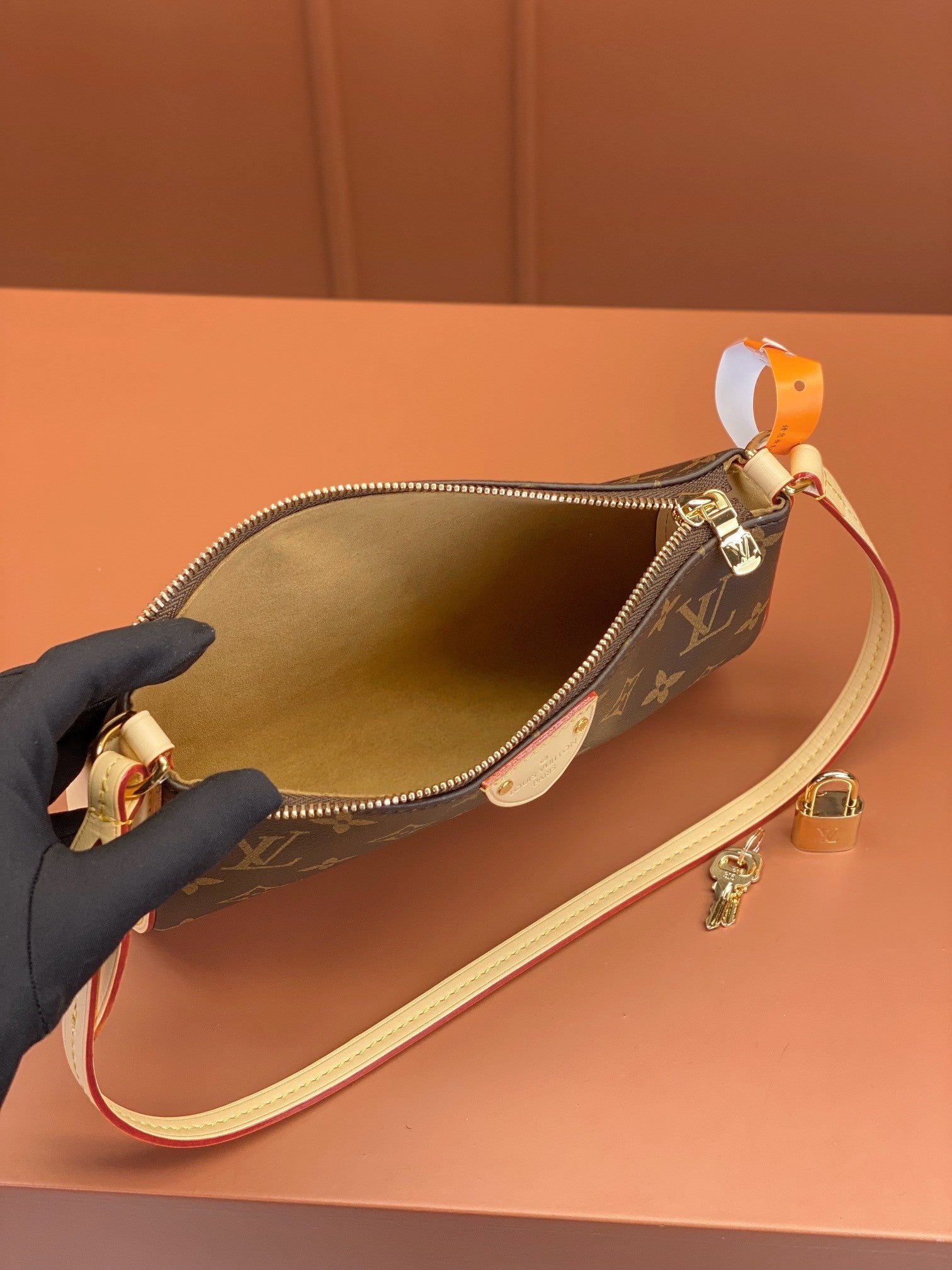 Louis Vuitton women's bags 108