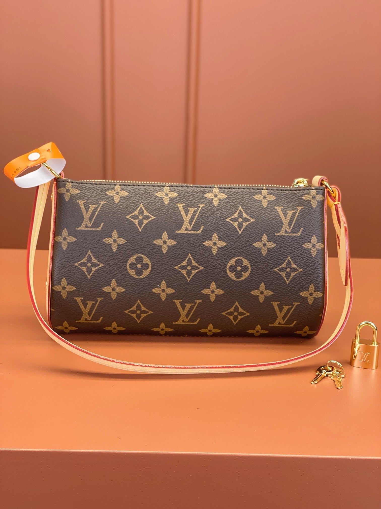 Louis Vuitton women's bags 108