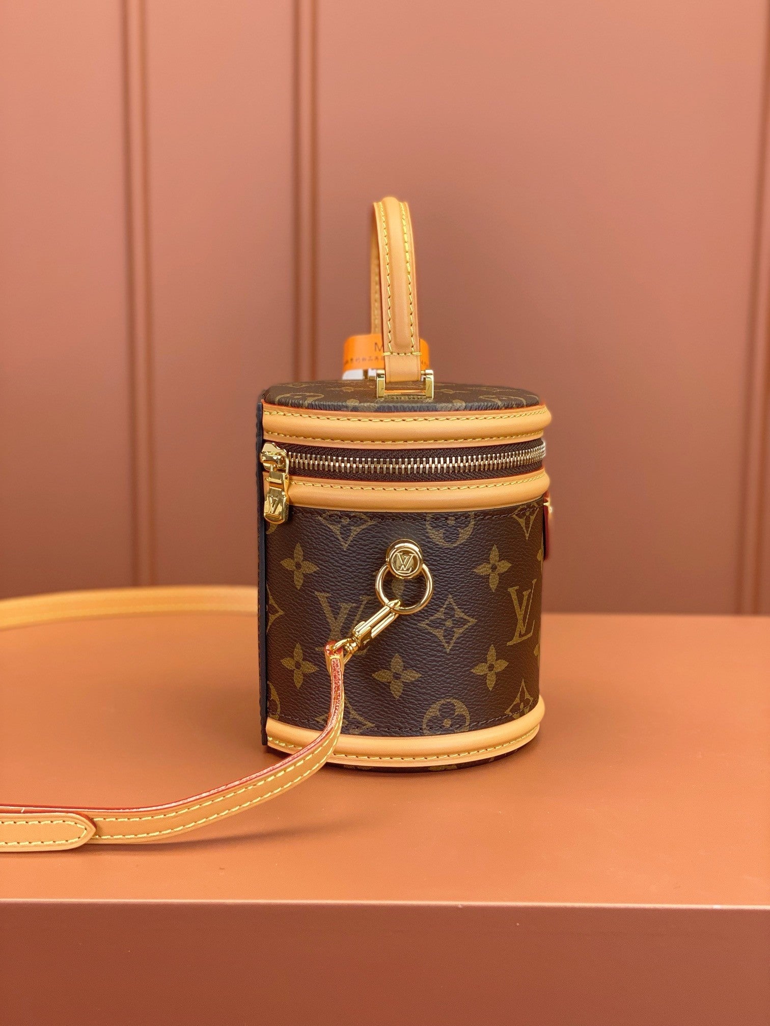 Louis Vuitton women's bags 109